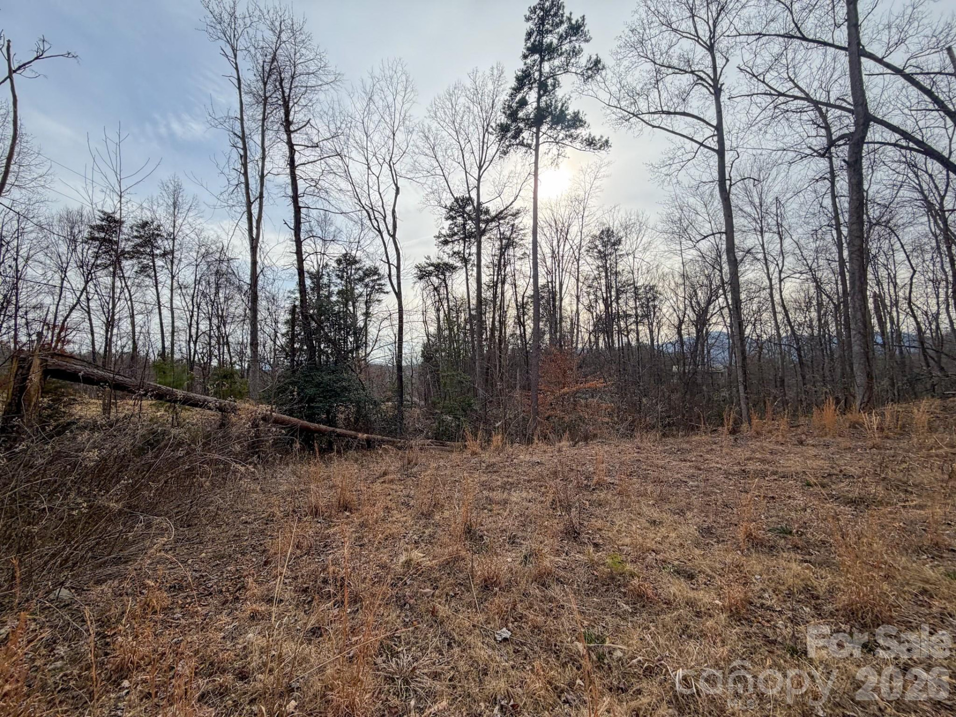 161 Starling Road - Photo 22