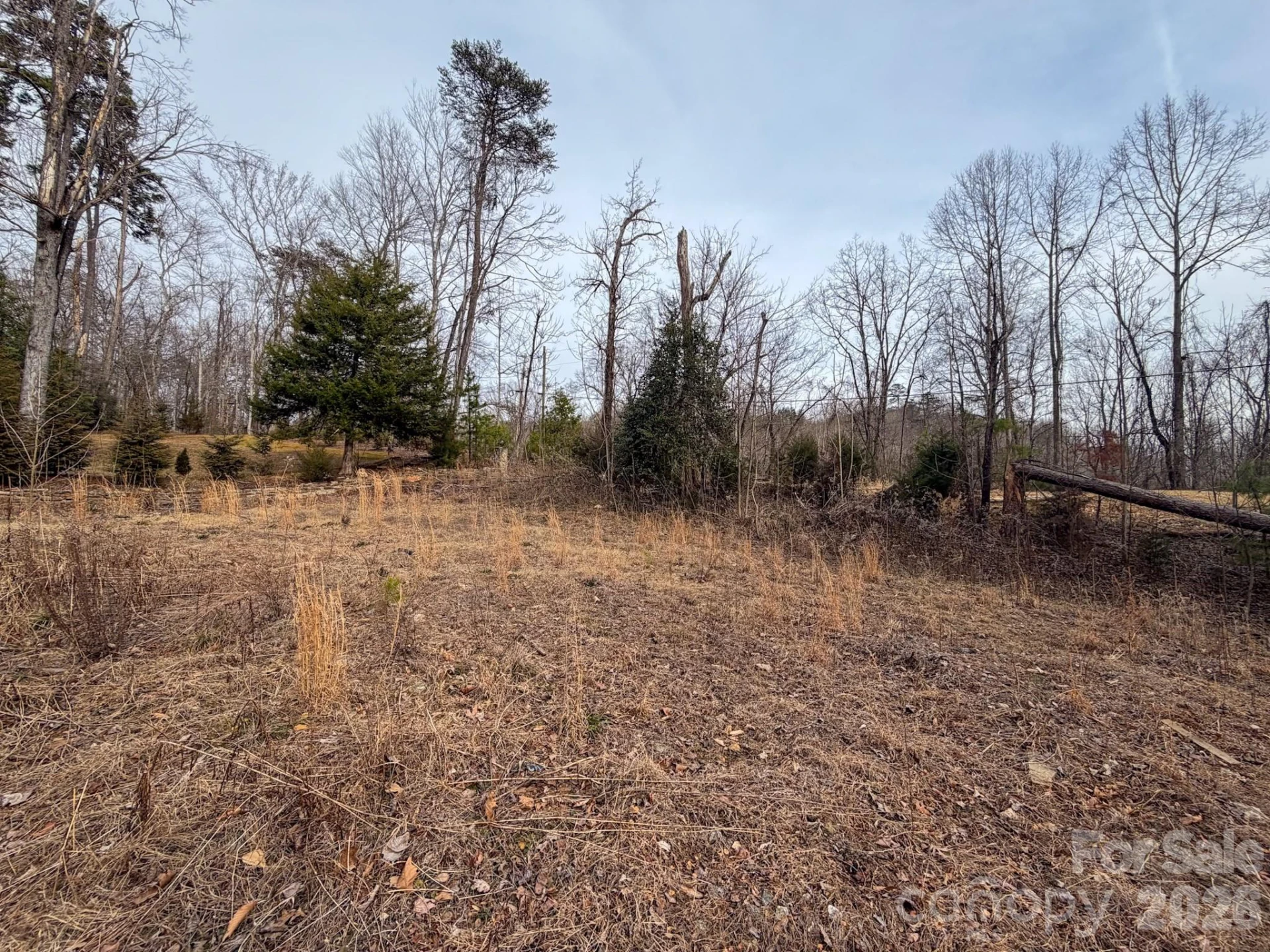 161 Starling Road - Photo 23