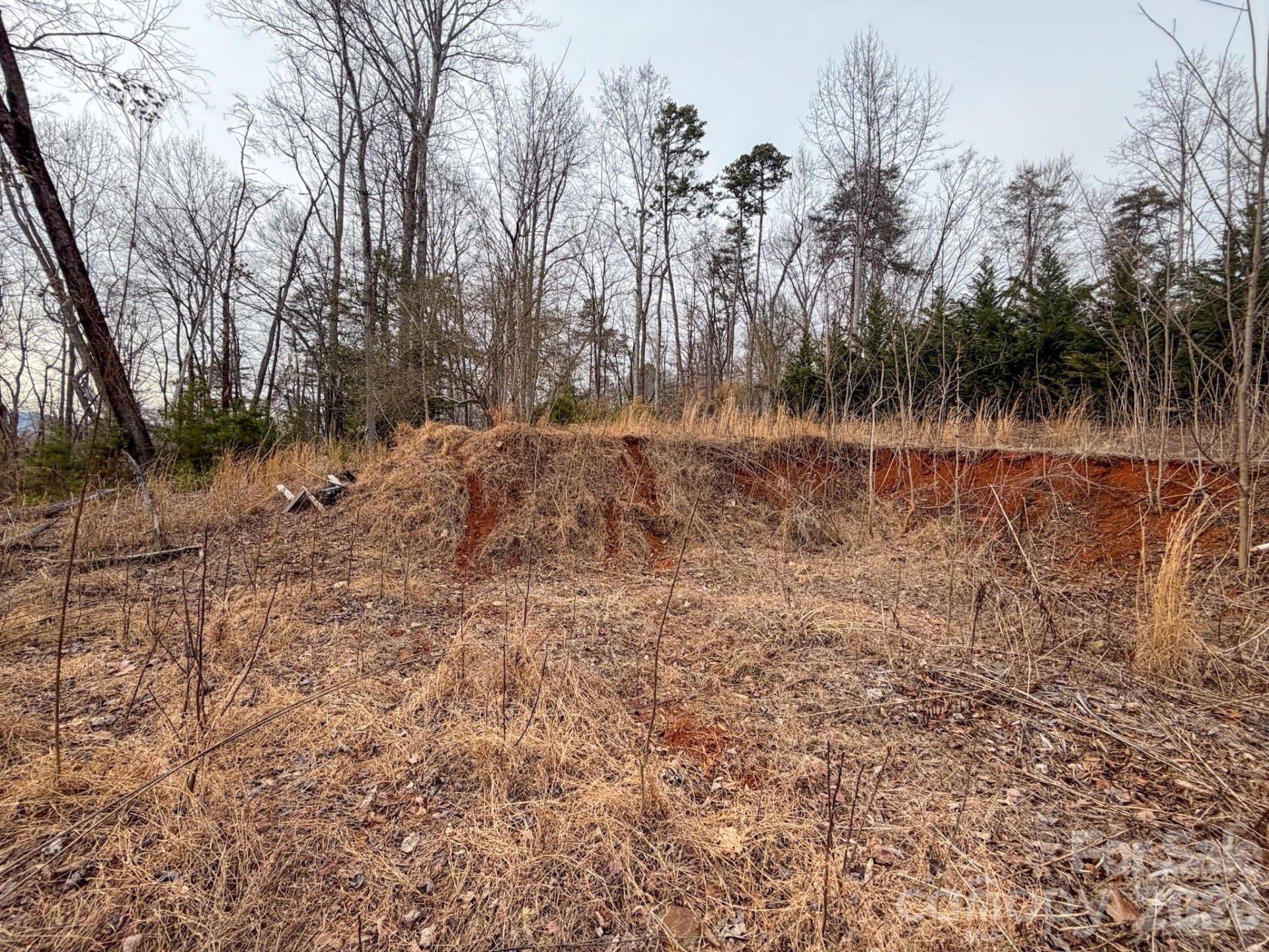 161 Starling Road - Photo 24