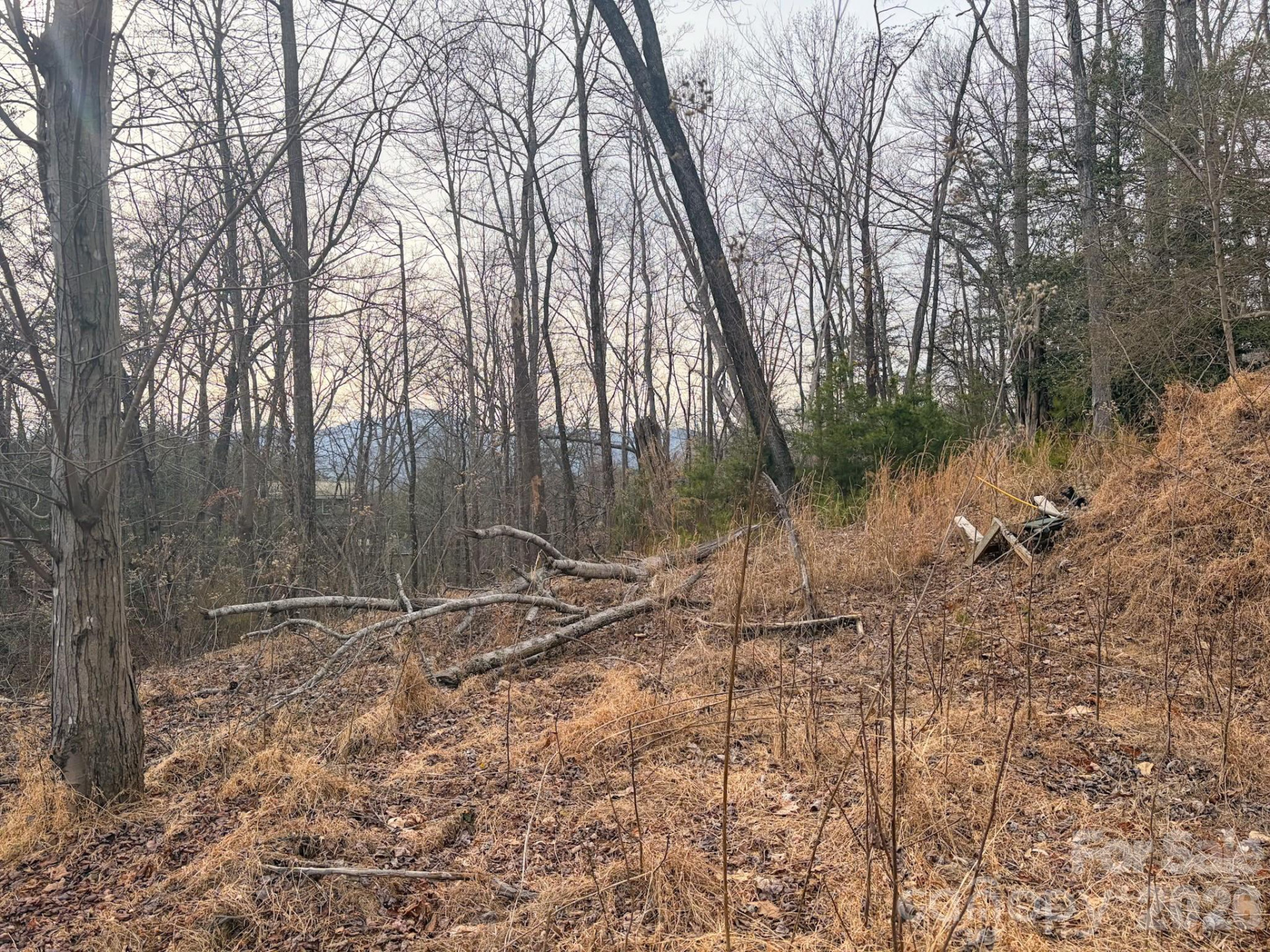 161 Starling Road - Photo 25