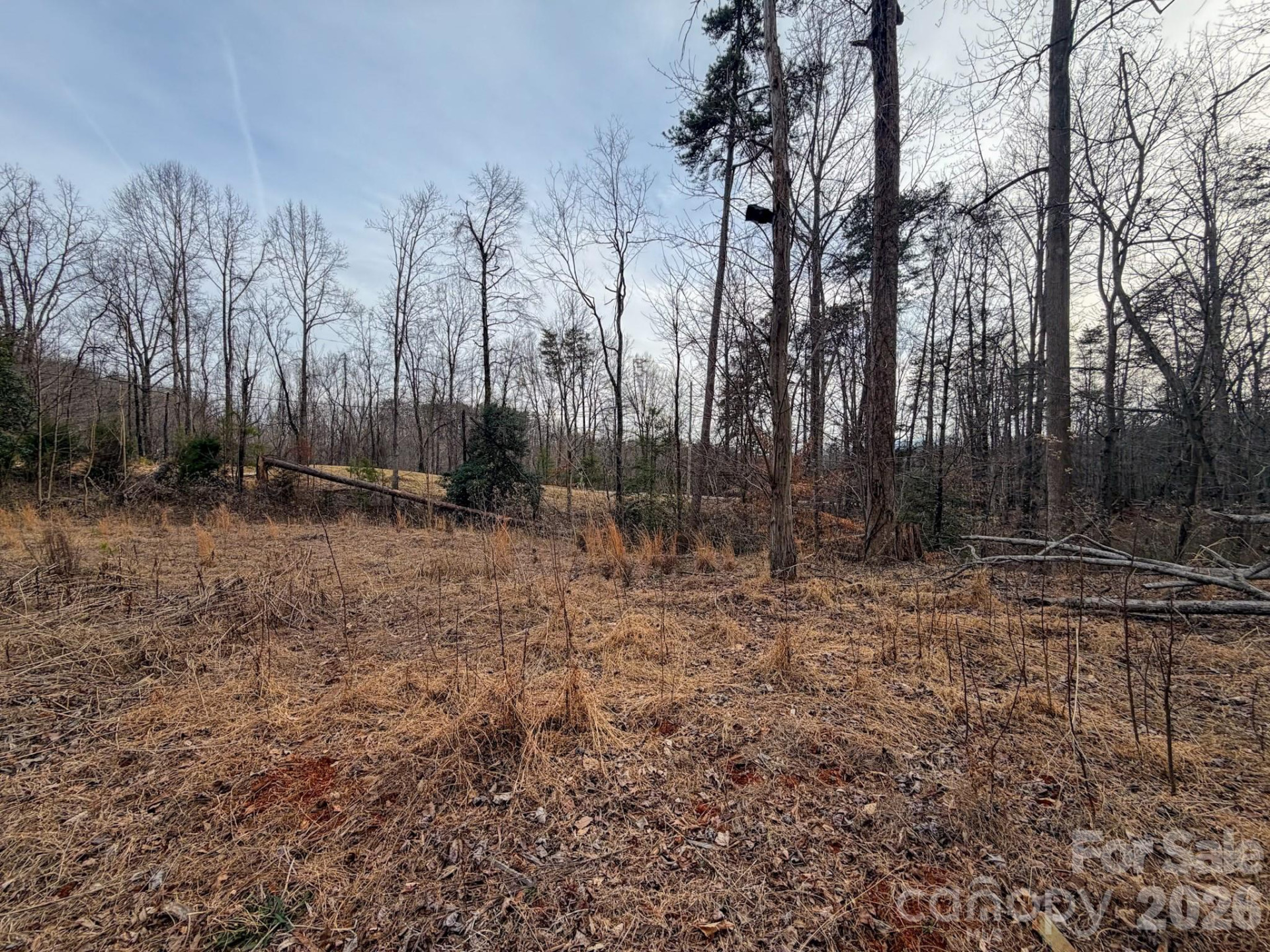 161 Starling Road - Photo 26