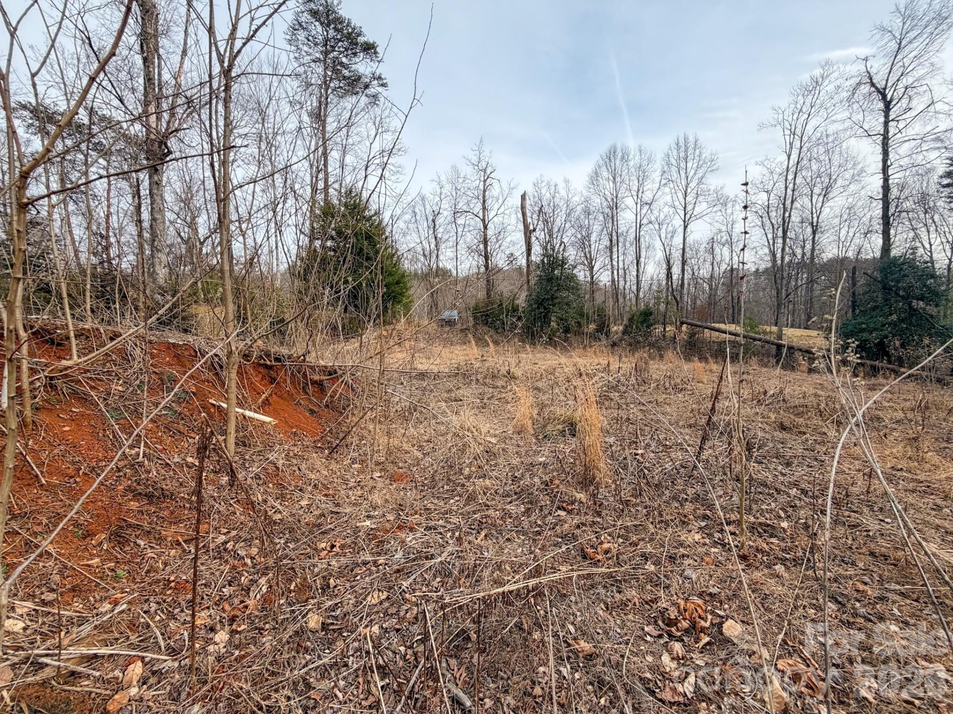 161 Starling Road - Photo 27