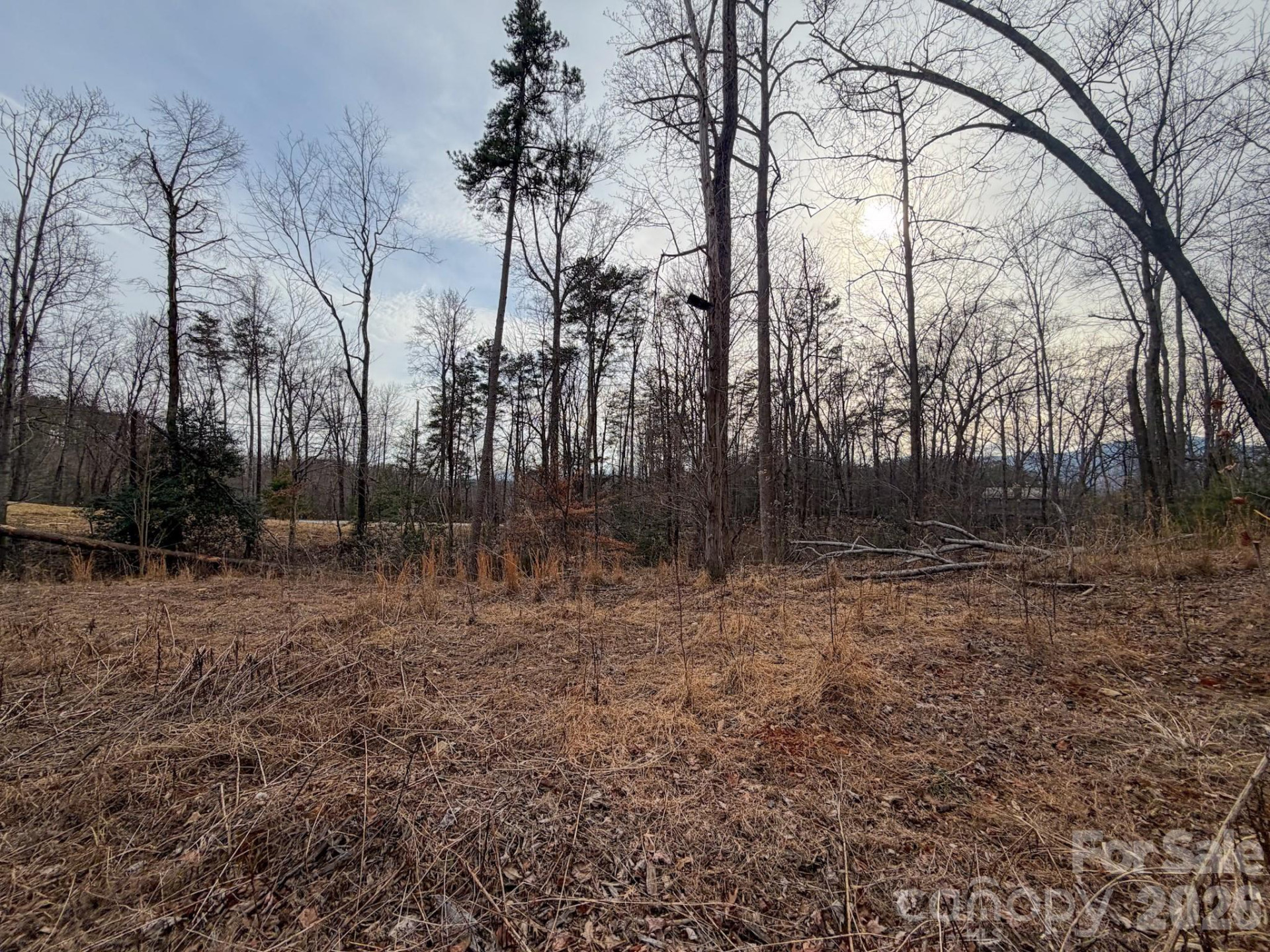 161 Starling Road - Photo 28