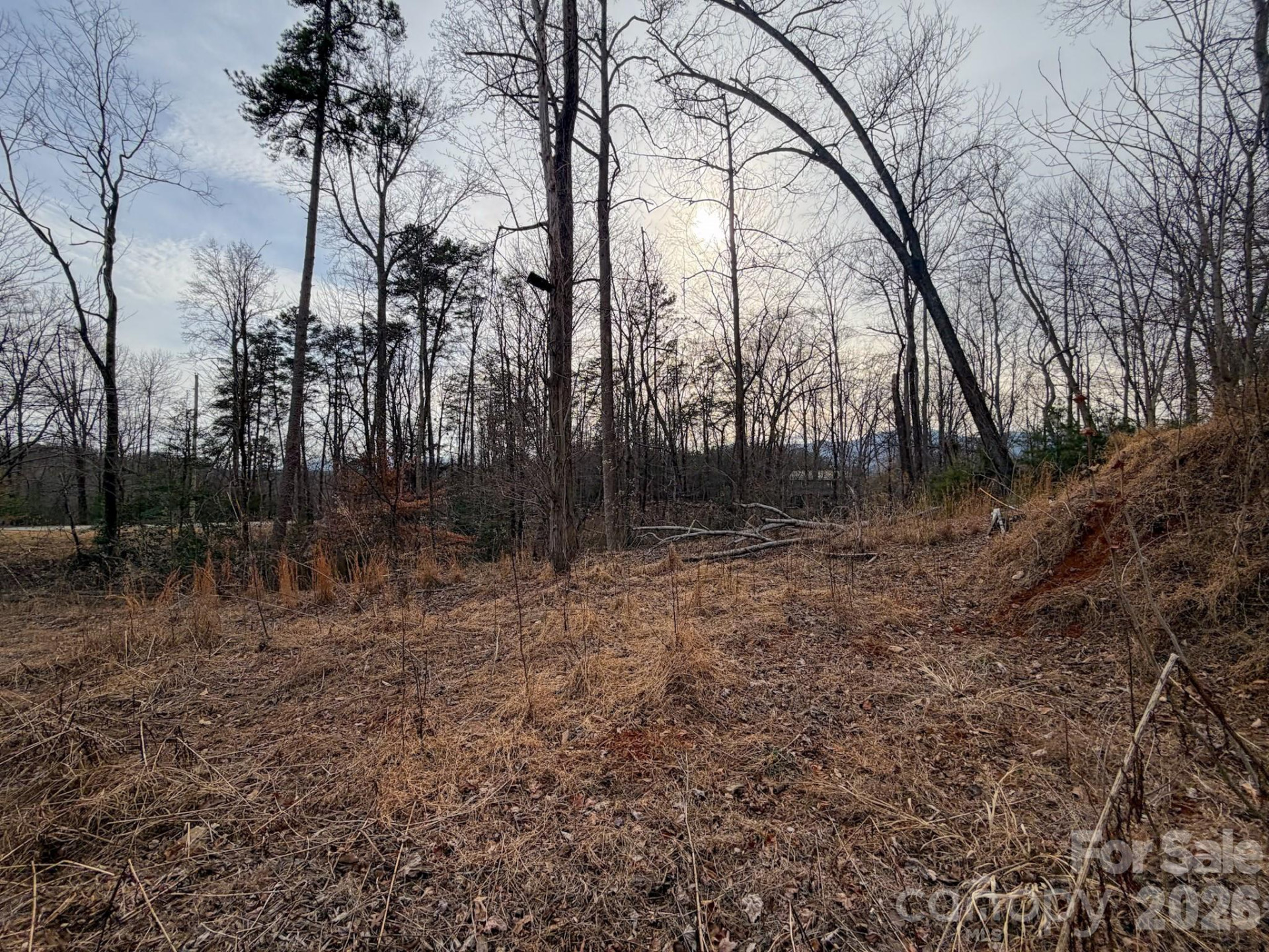 161 Starling Road - Photo 29