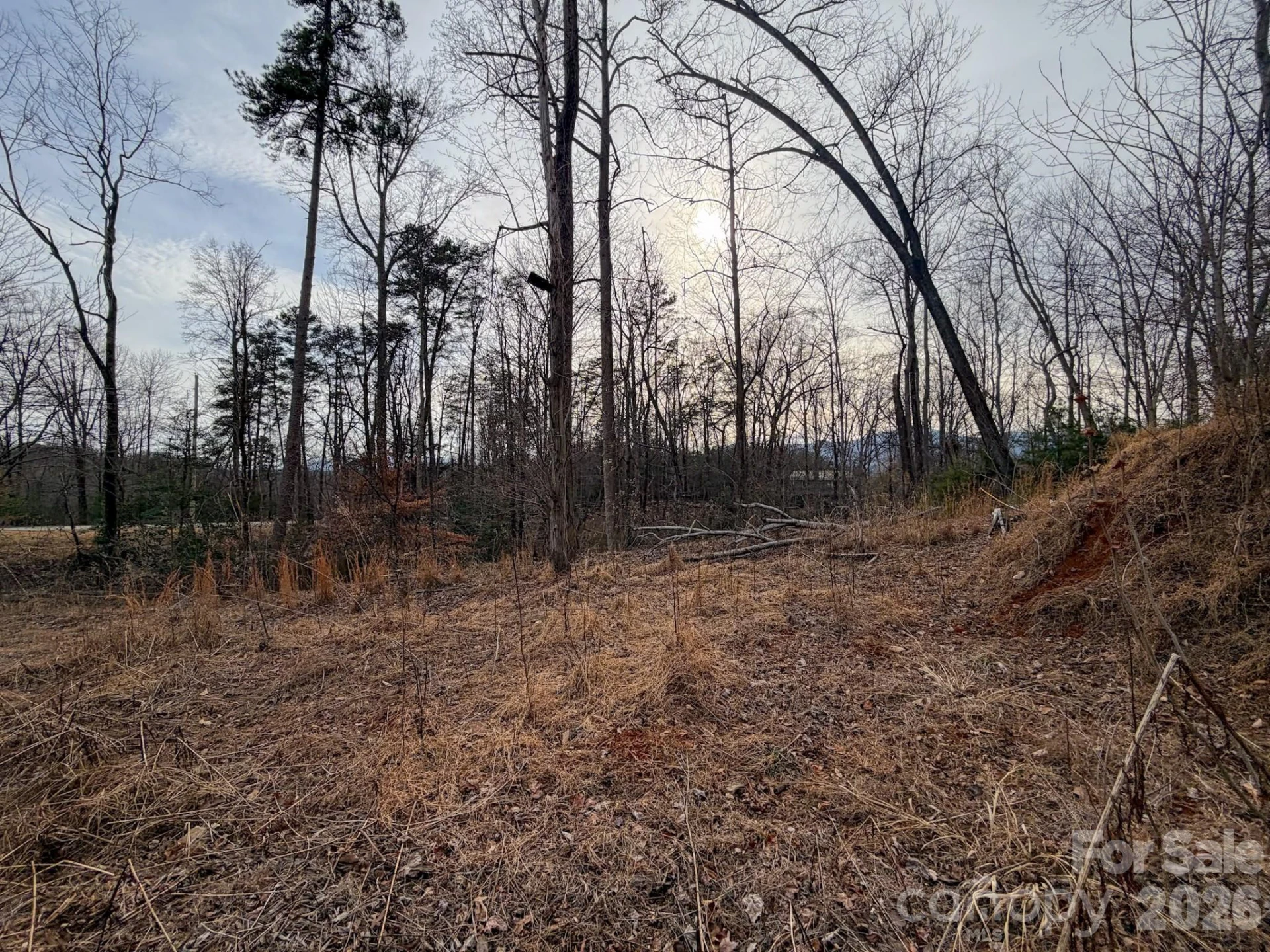 161 Starling Road - Photo 29