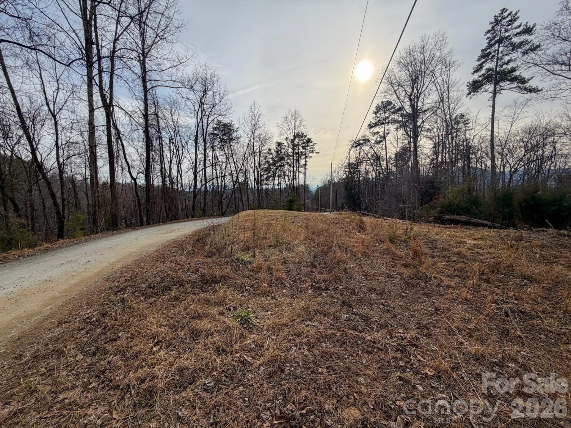 161 Starling Road - Photo 4