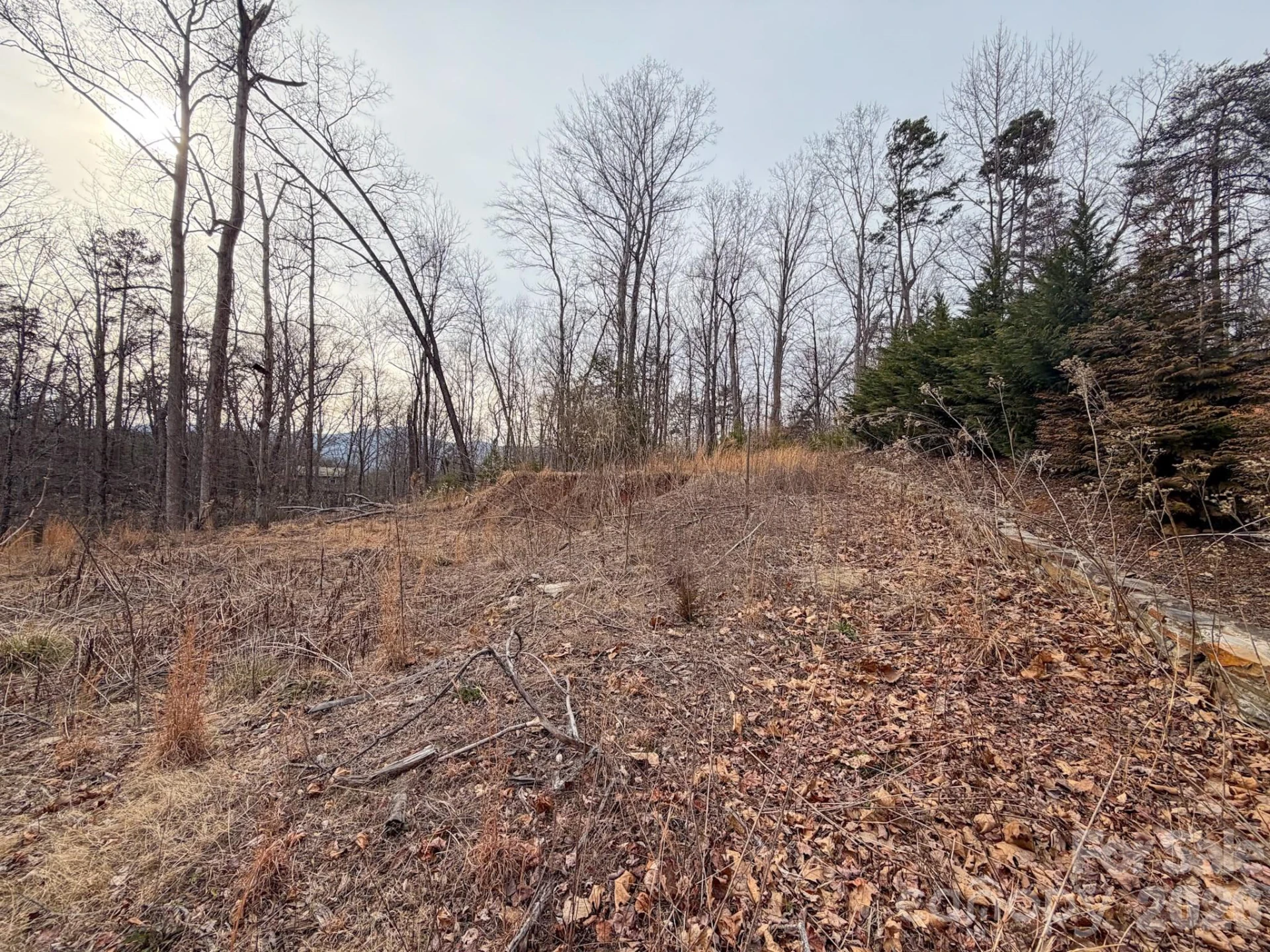 161 Starling Road - Photo 31
