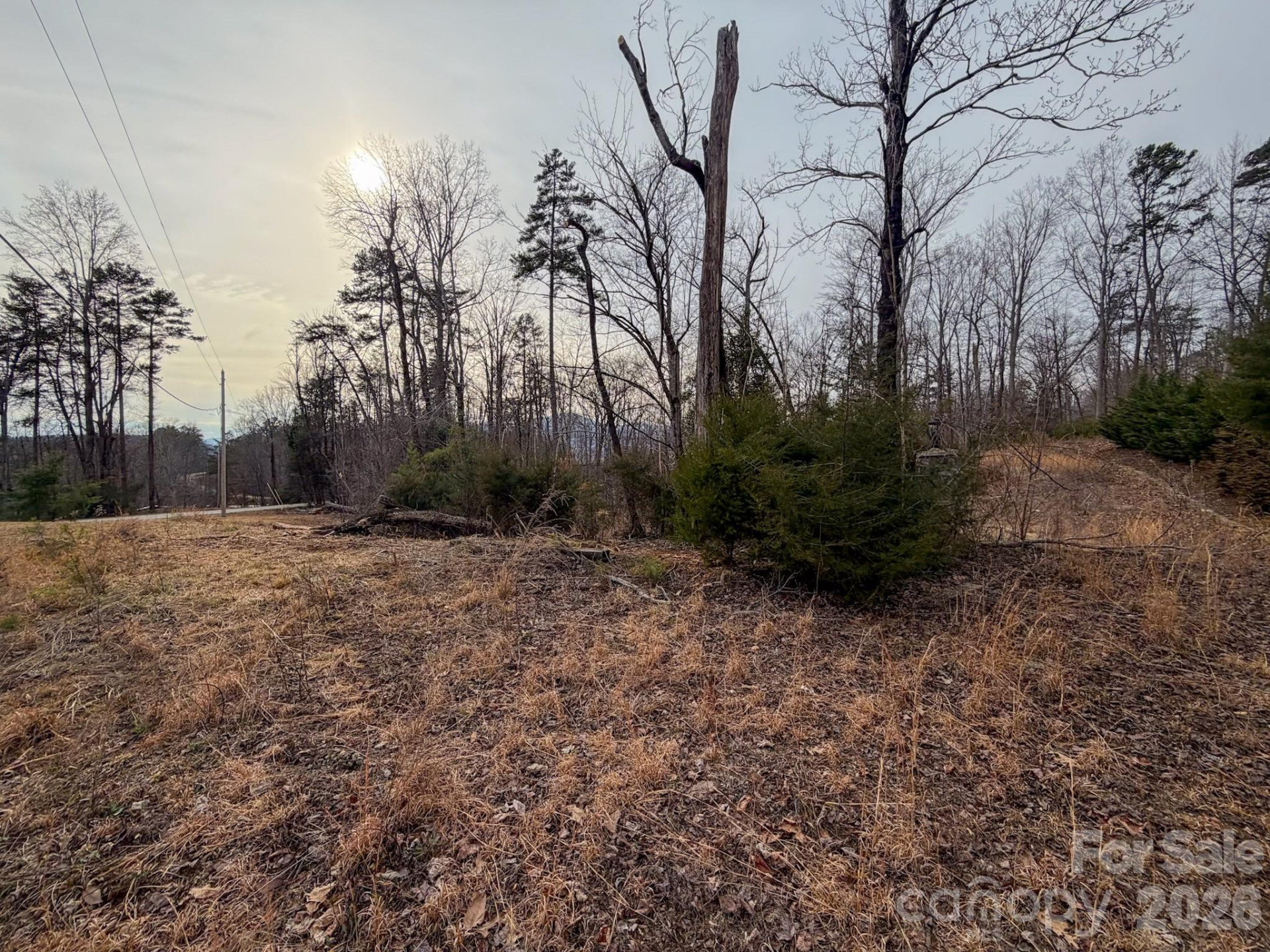 161 Starling Road - Photo 32