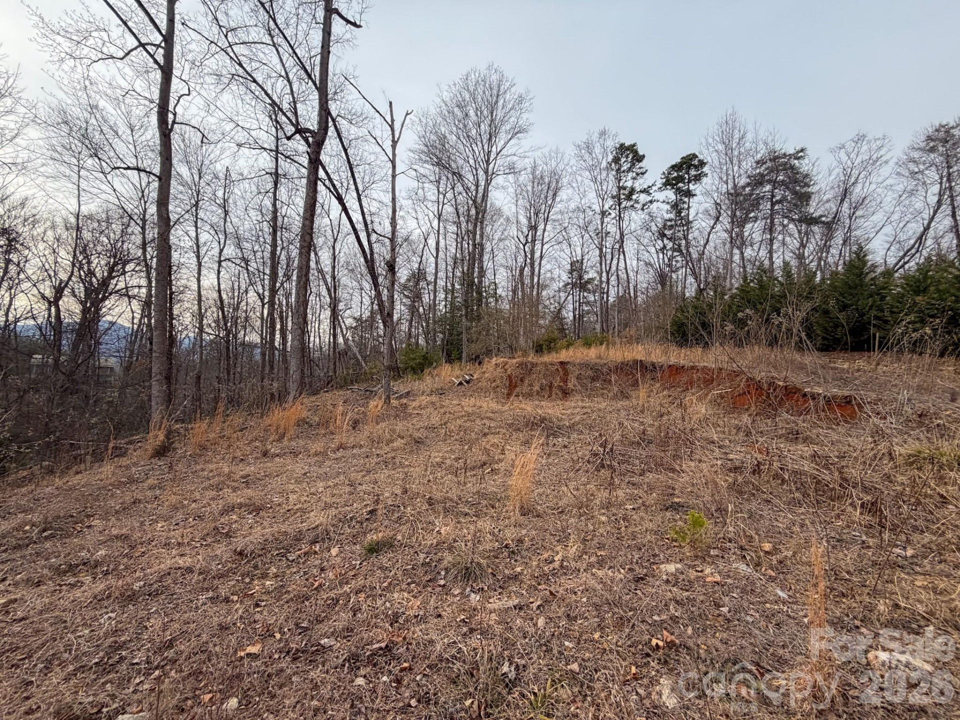 161 Starling Road - Photo 6