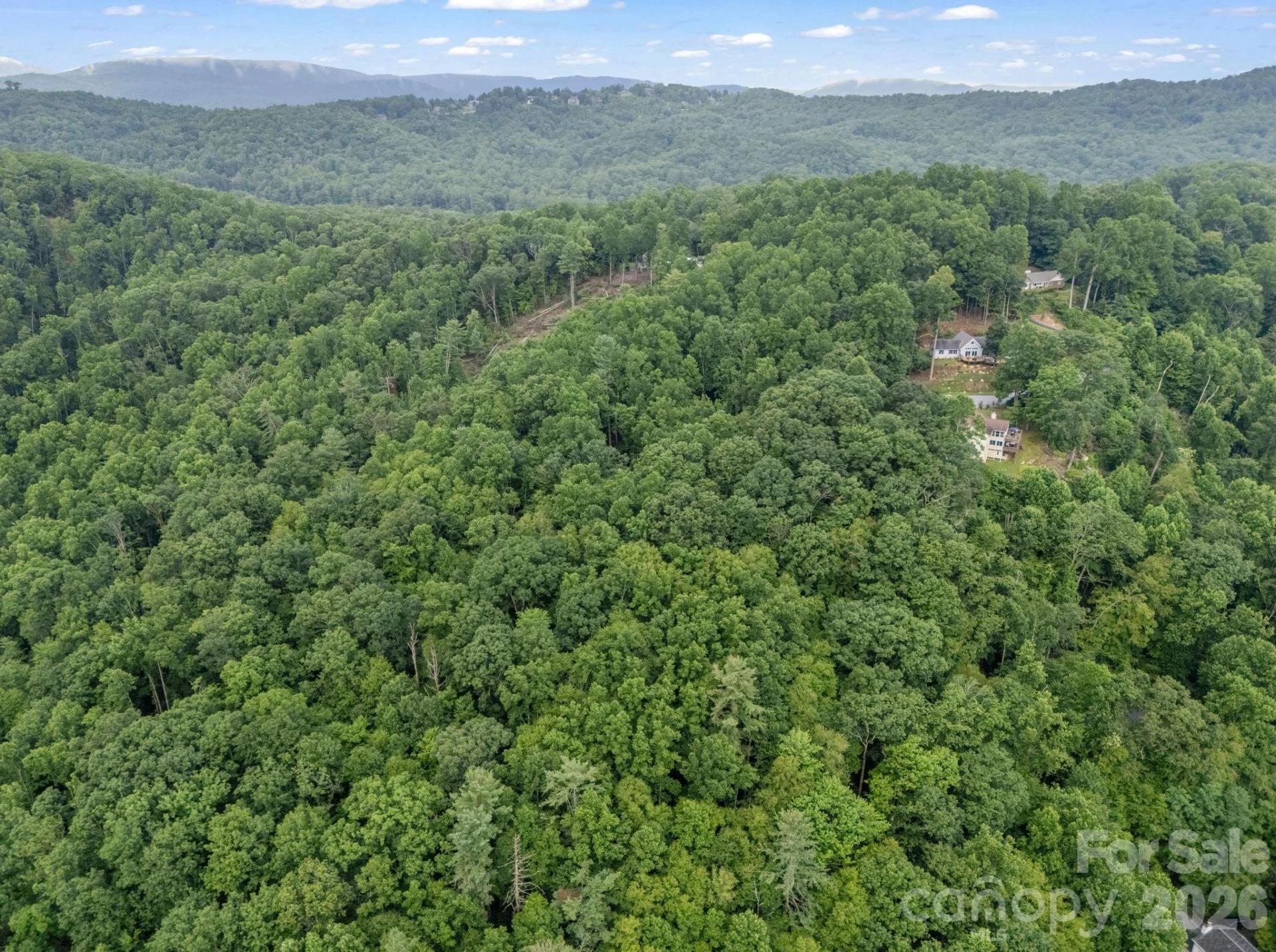 TBD Davenport Hills Road - Photo 11