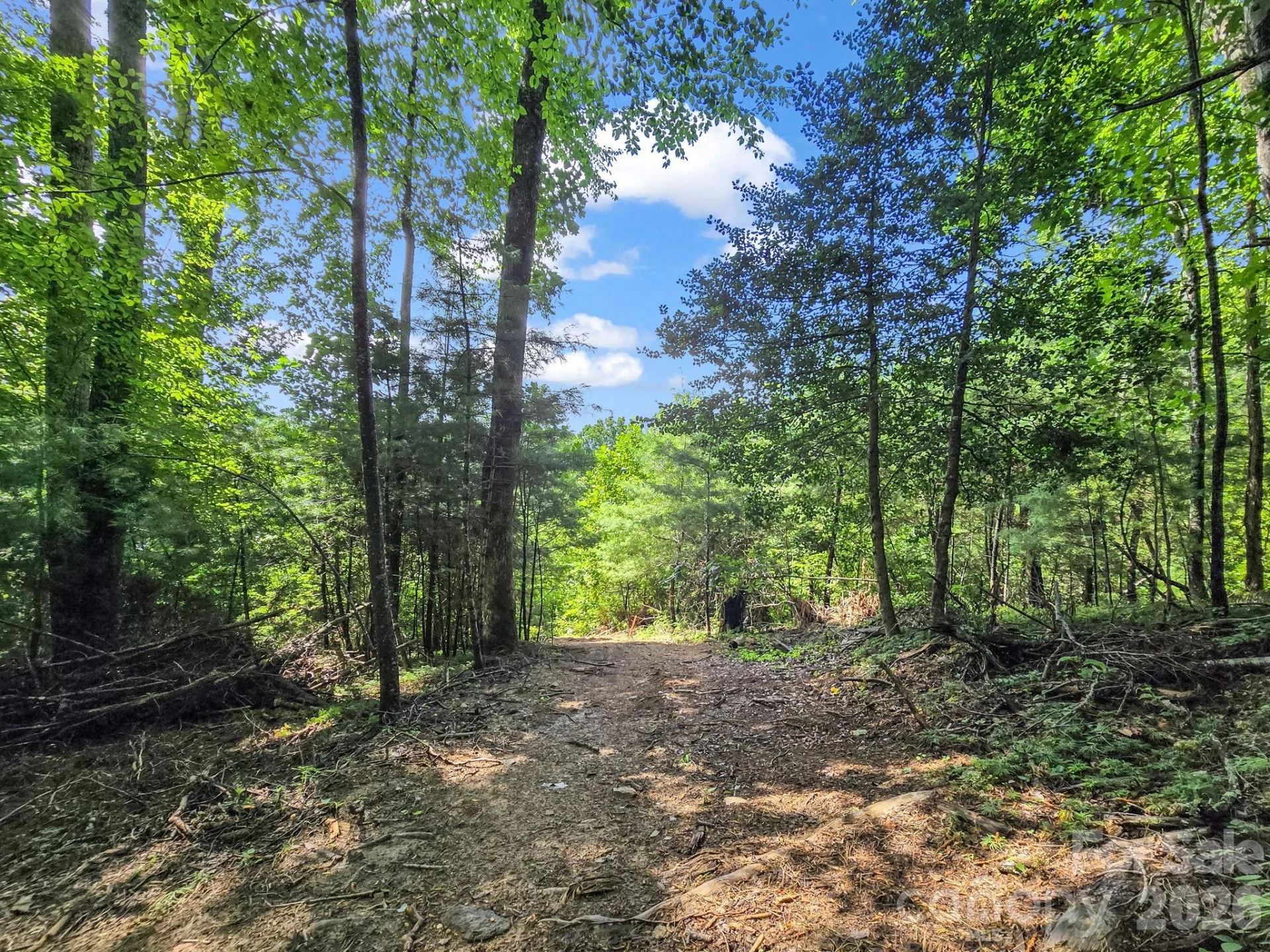 TBD Davenport Hills Road - Photo 13