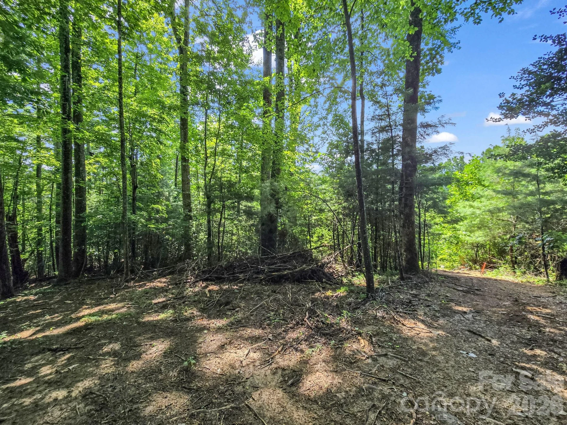 TBD Davenport Hills Road - Photo 15