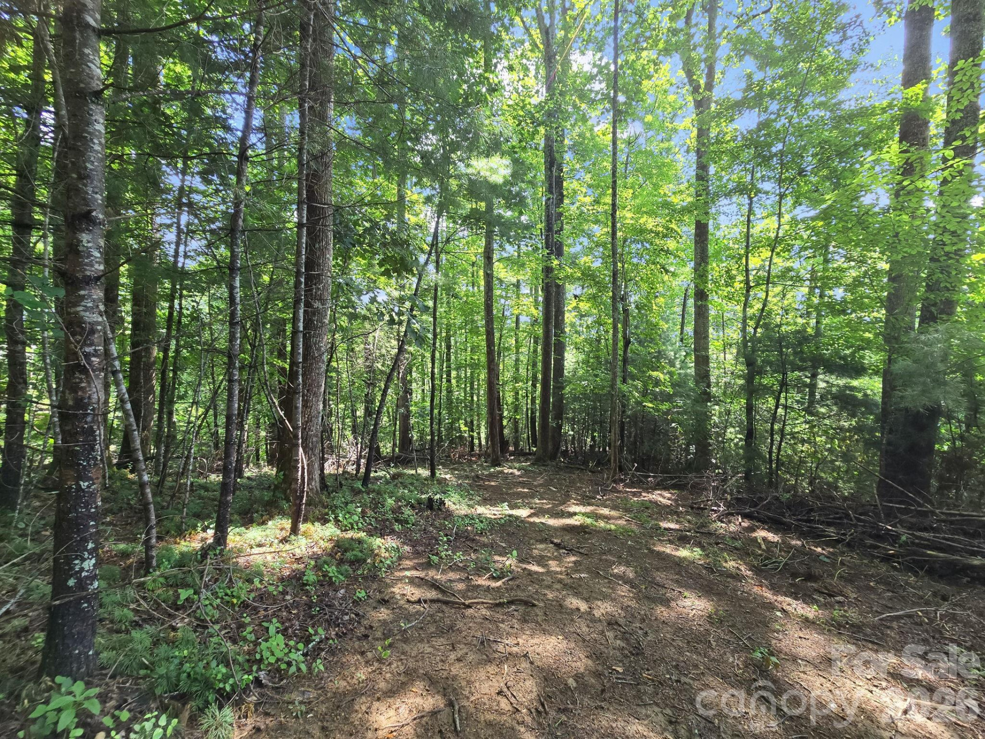 TBD Davenport Hills Road - Photo 16