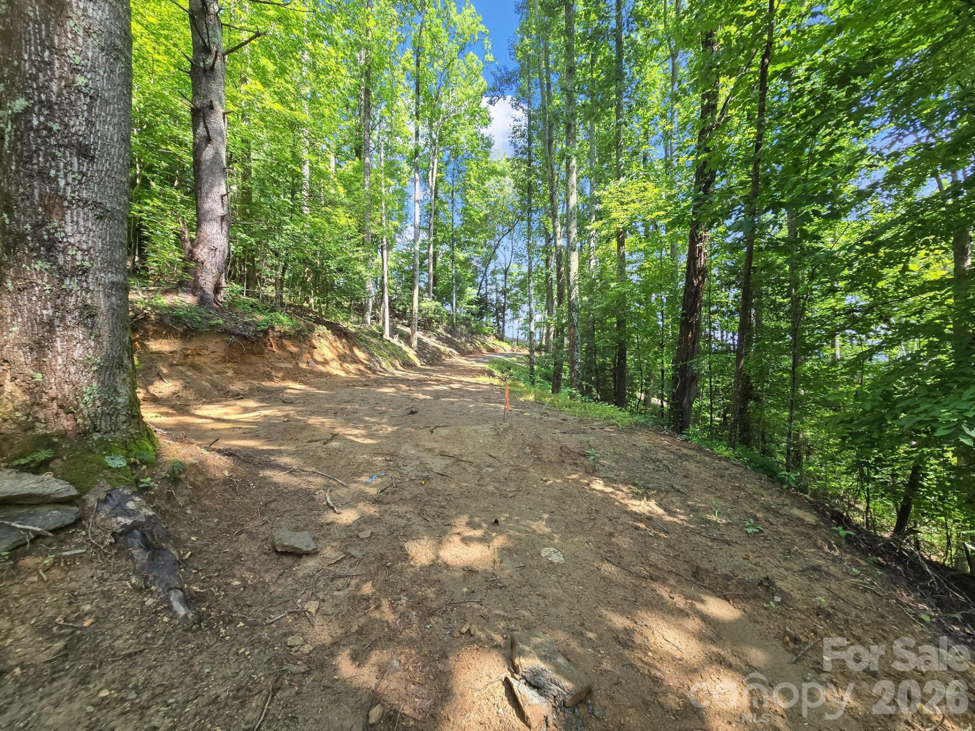 TBD Davenport Hills Road - Photo 17