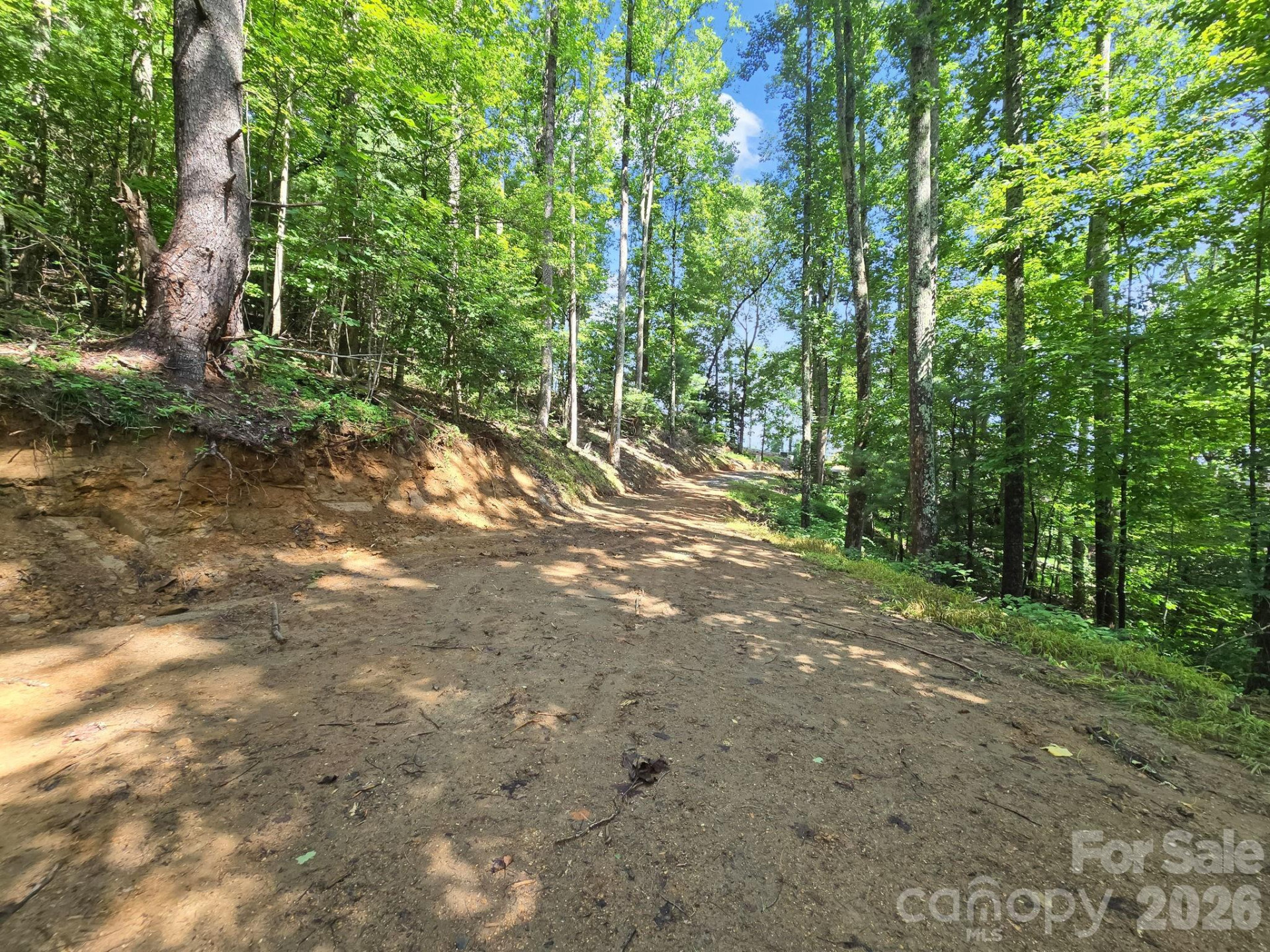 TBD Davenport Hills Road - Photo 18