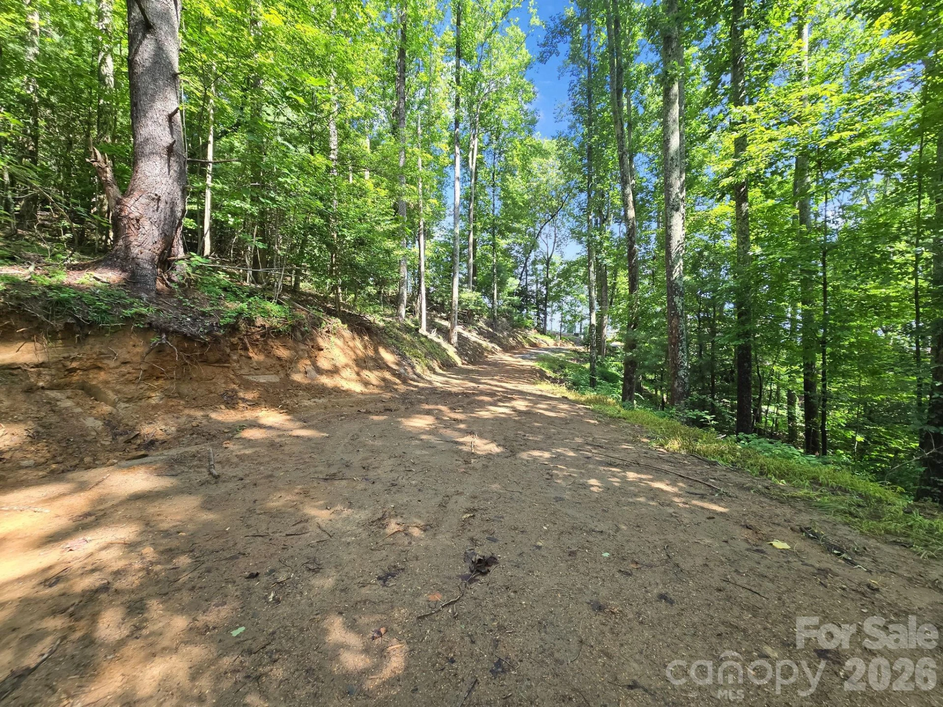TBD Davenport Hills Road - Photo 19