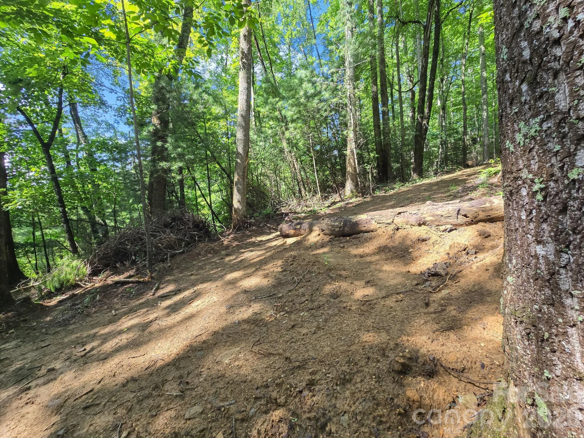 TBD Davenport Hills Road - Photo 20