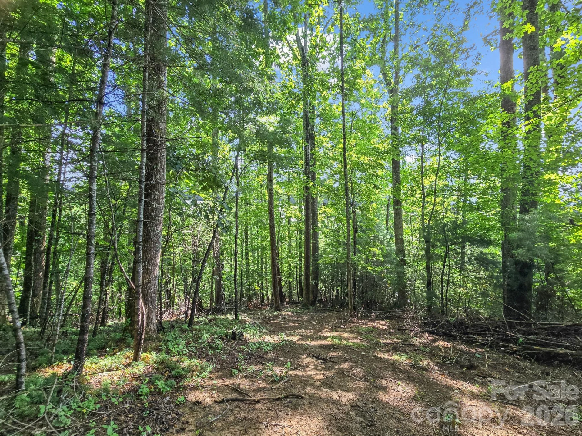 TBD Davenport Hills Road - Photo 3