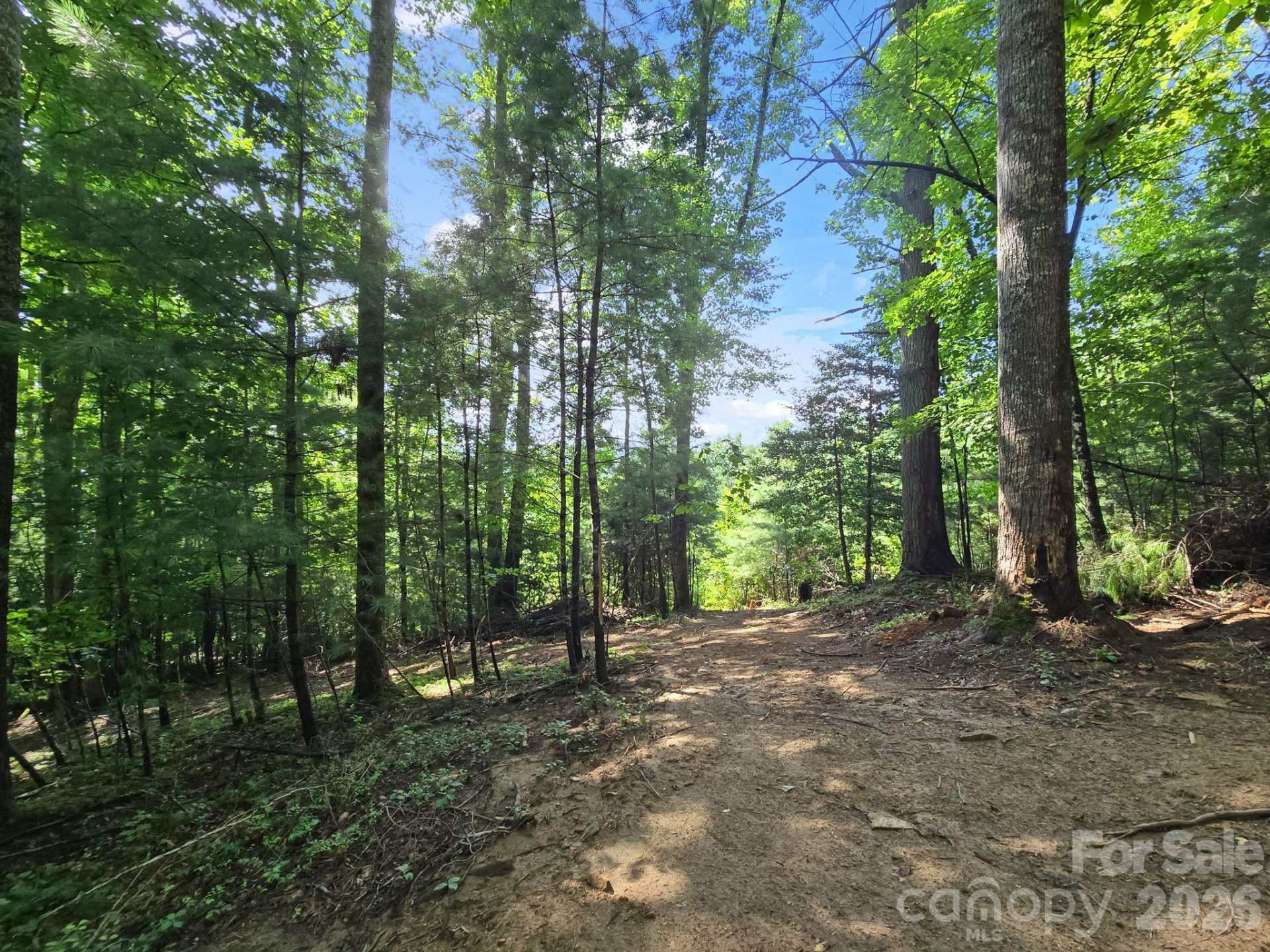 TBD Davenport Hills Road - Photo 21