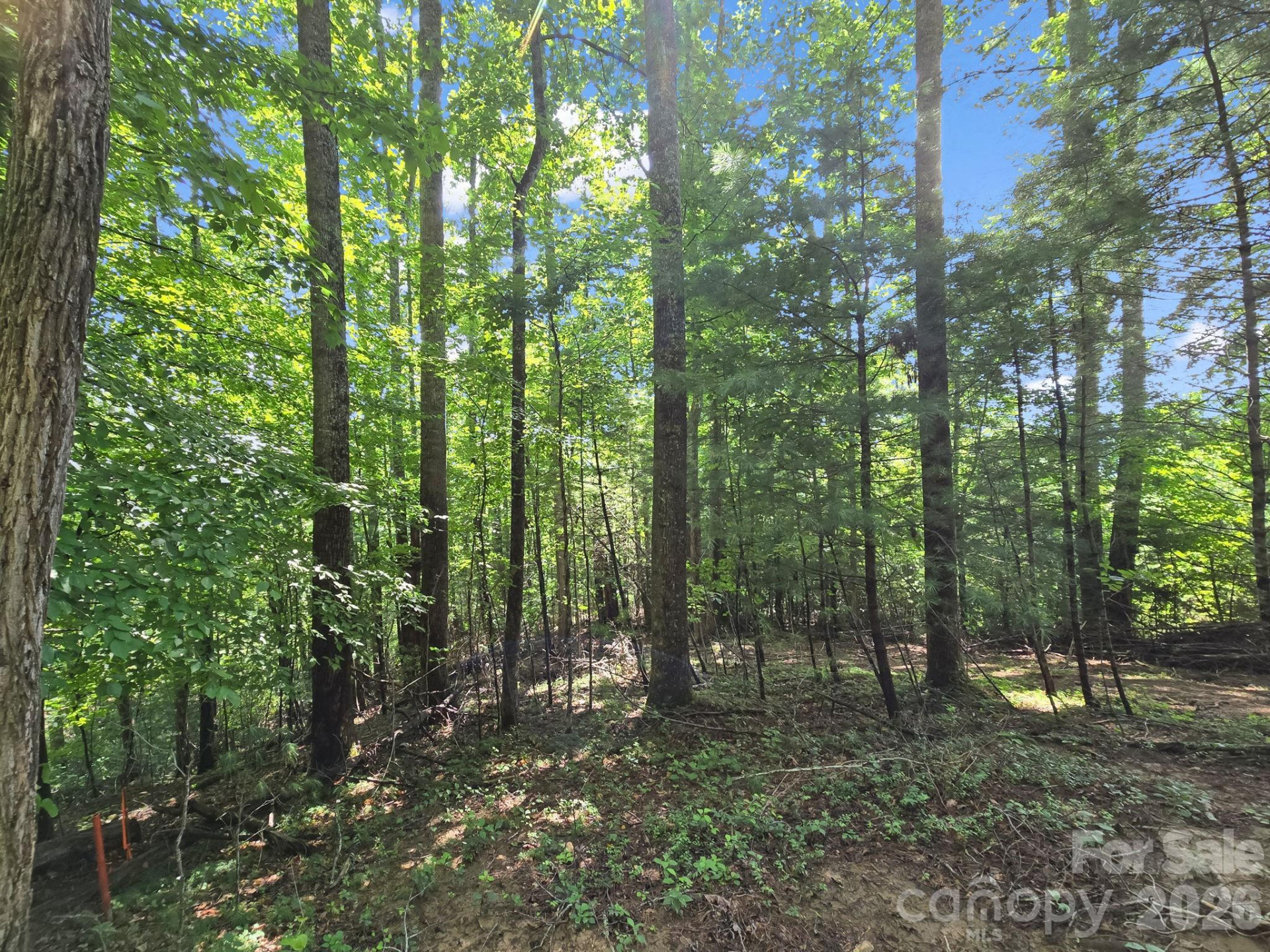 TBD Davenport Hills Road - Photo 22