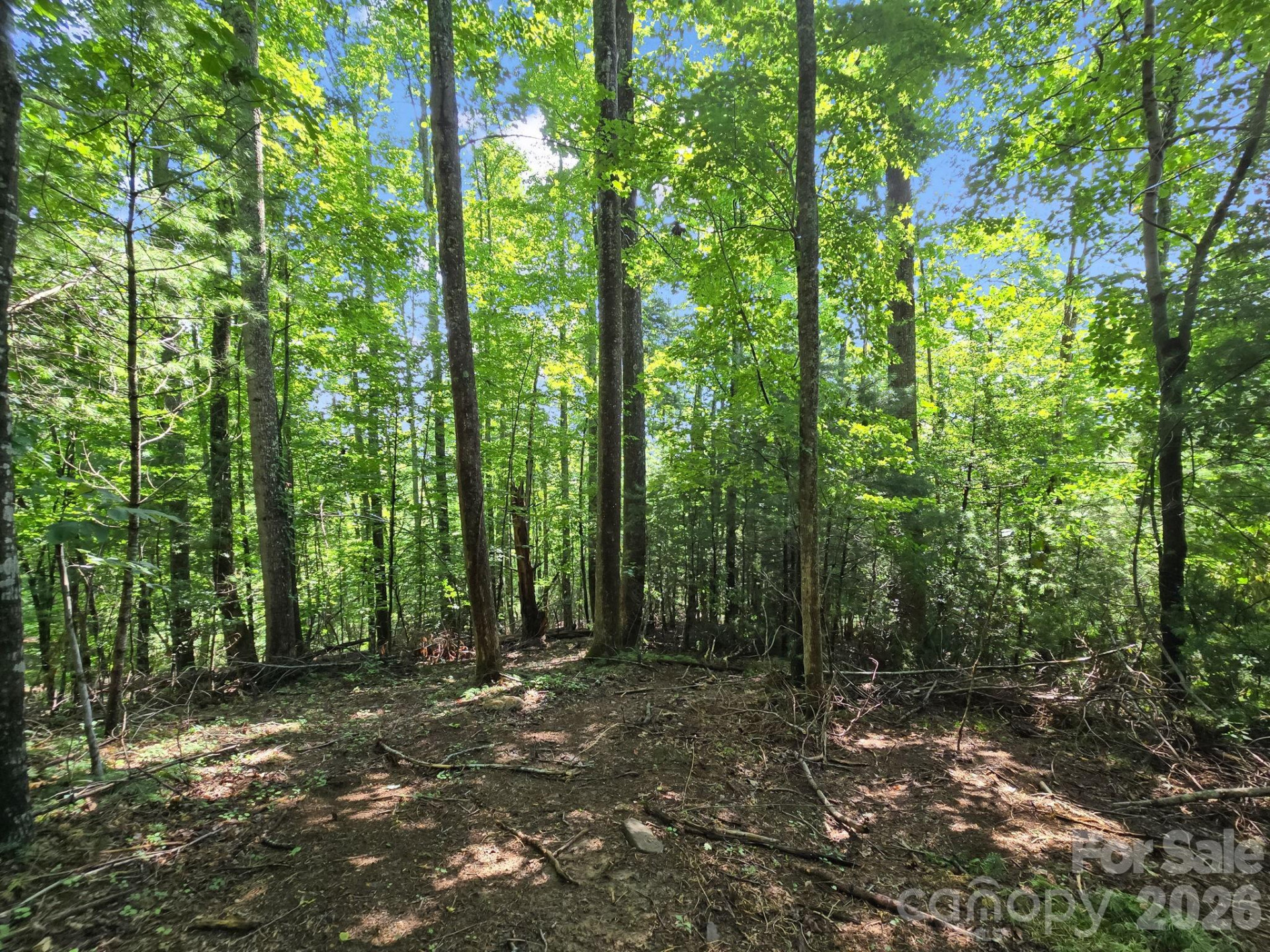 TBD Davenport Hills Road - Photo 23