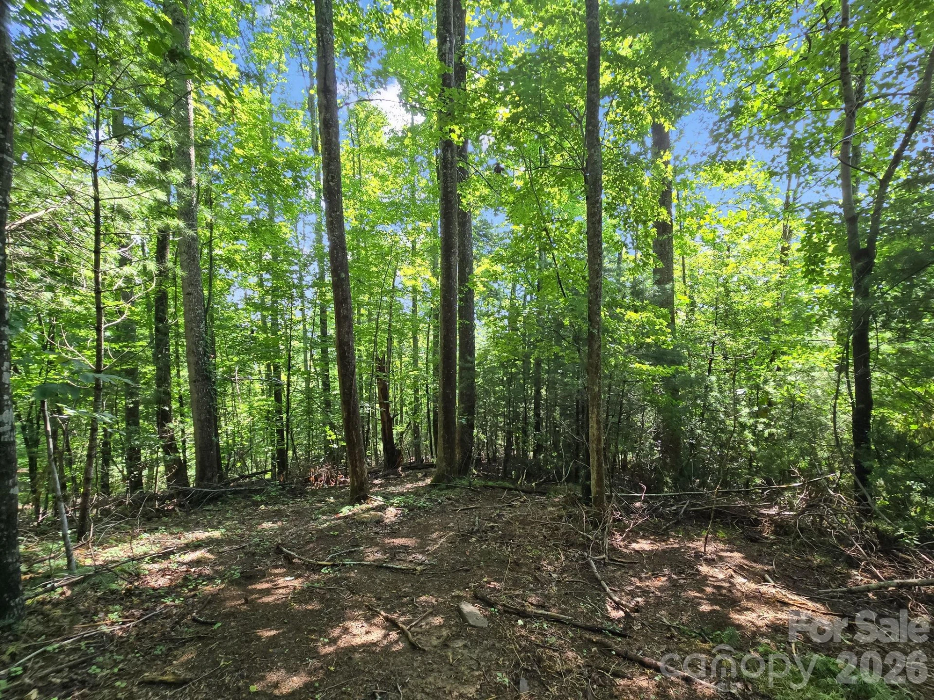 TBD Davenport Hills Road - Photo 23