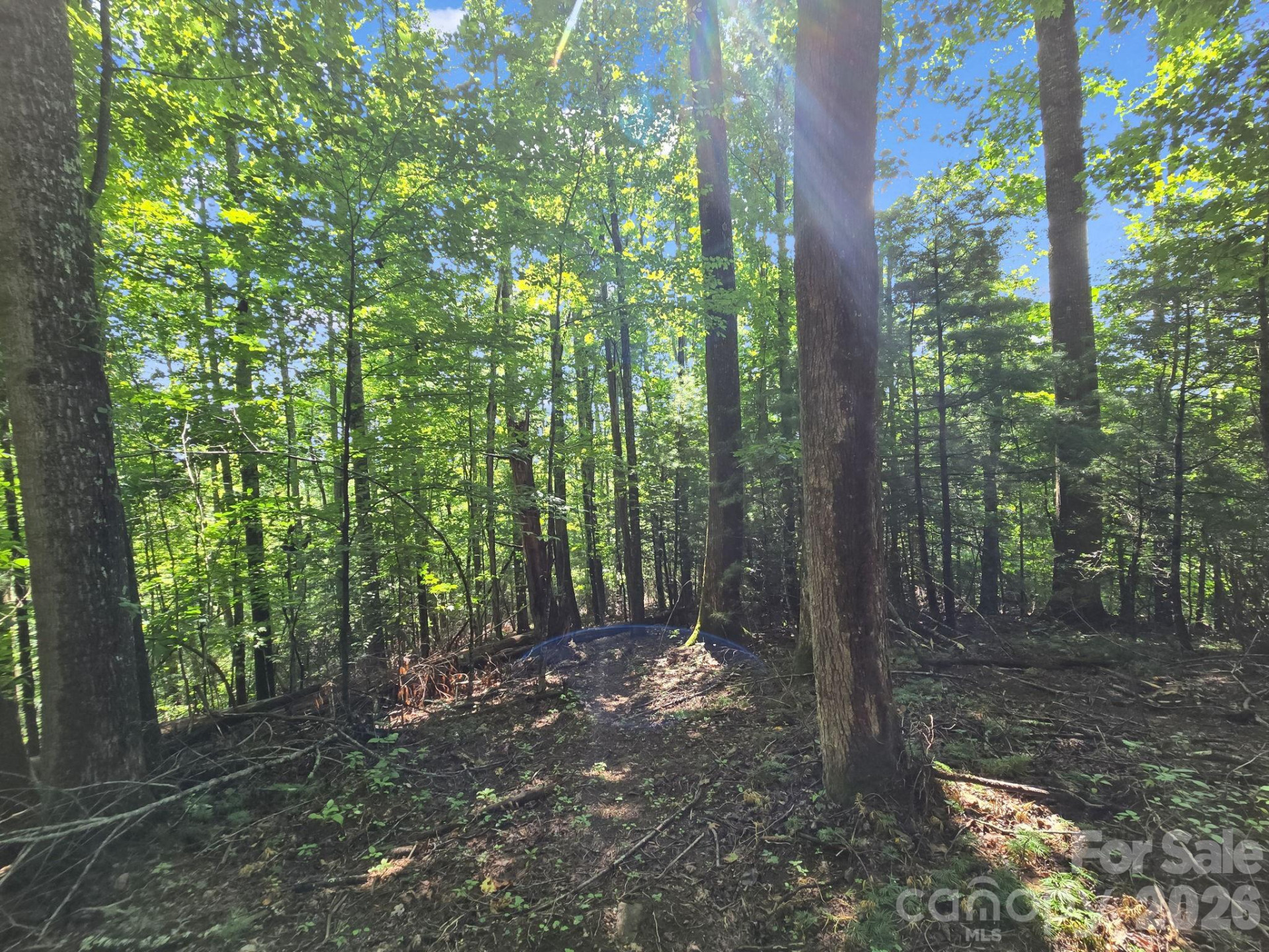 TBD Davenport Hills Road - Photo 24