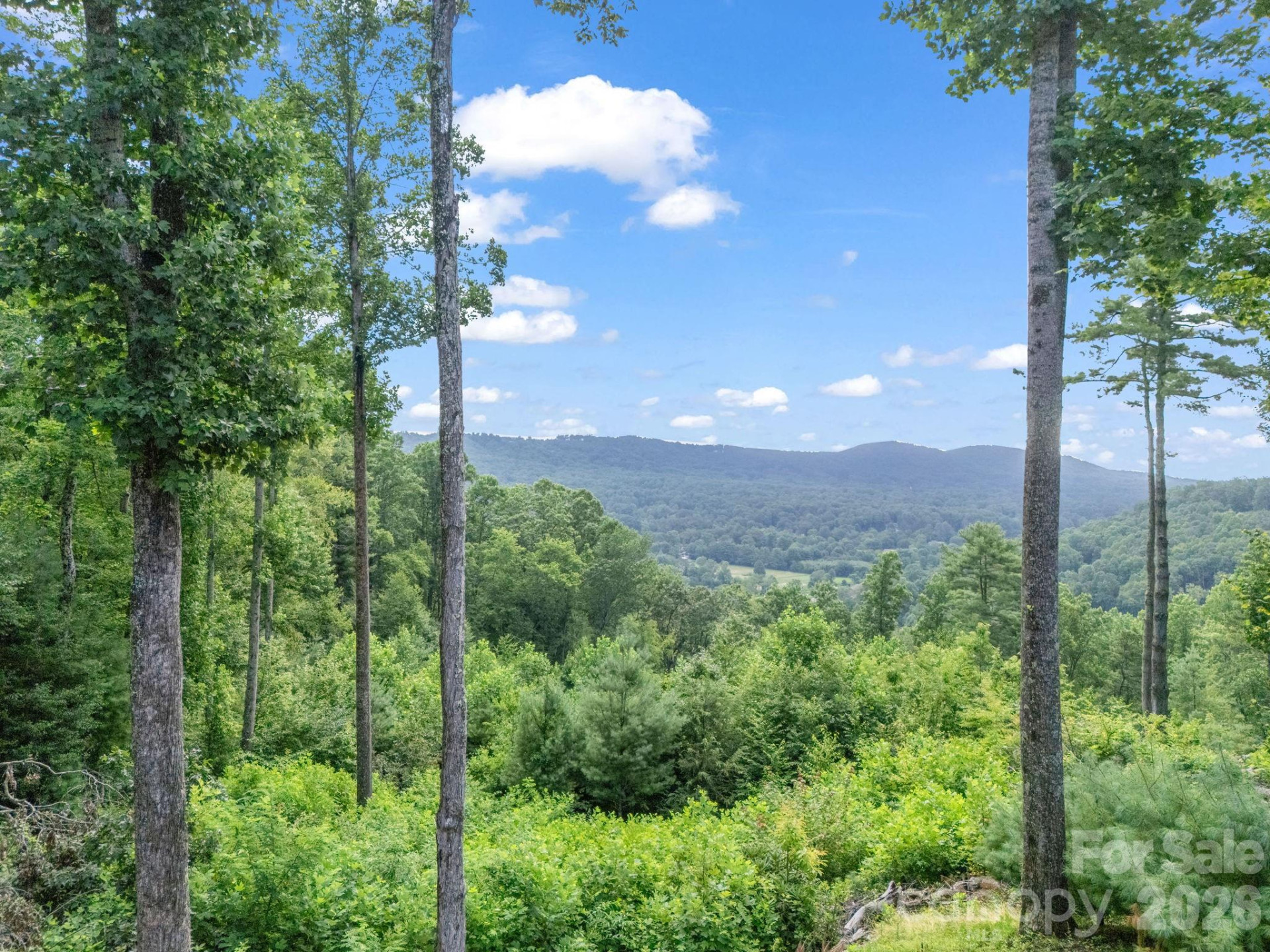 TBD Davenport Hills Road - Photo 4