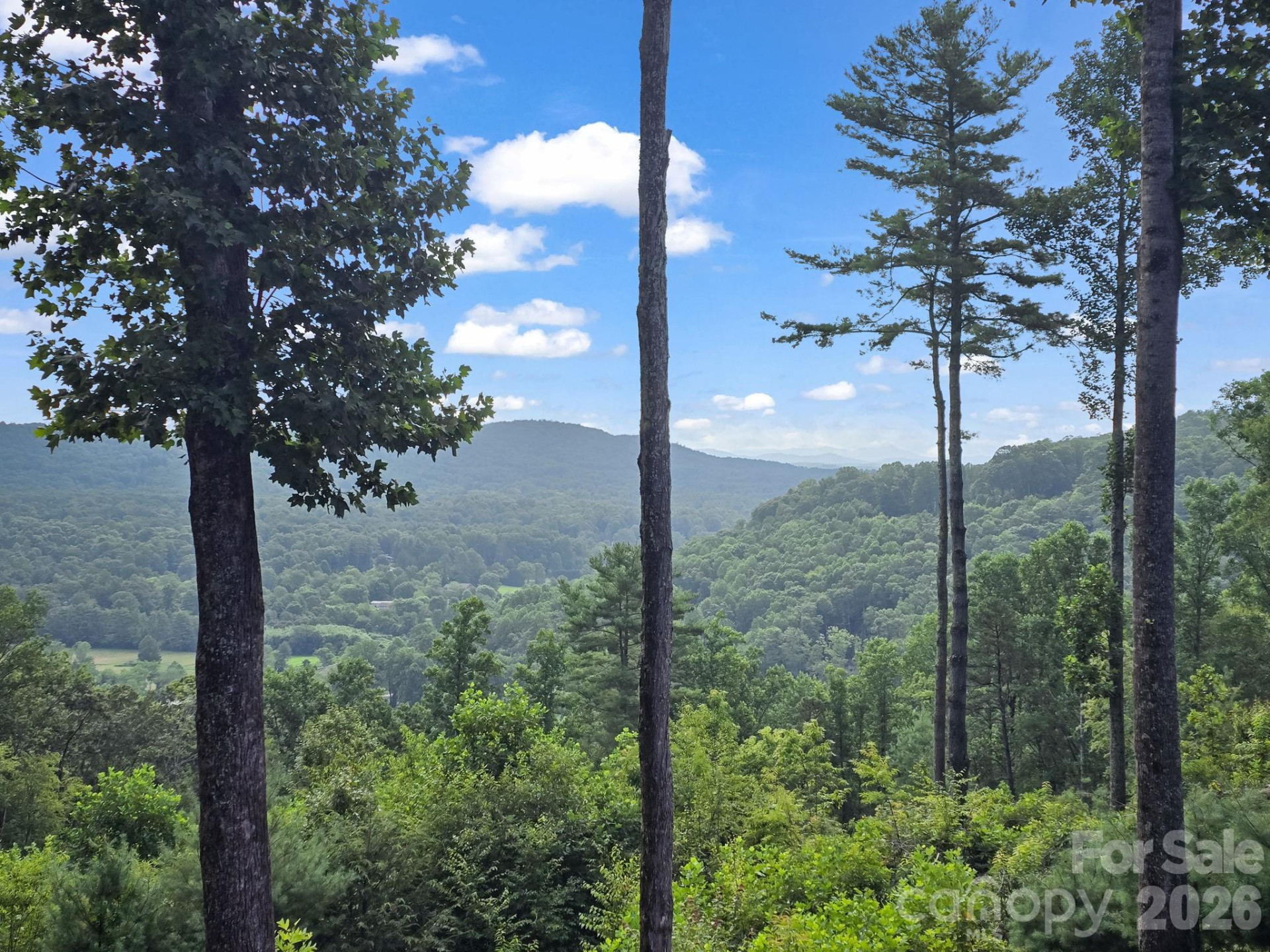 TBD Davenport Hills Road - Photo 5