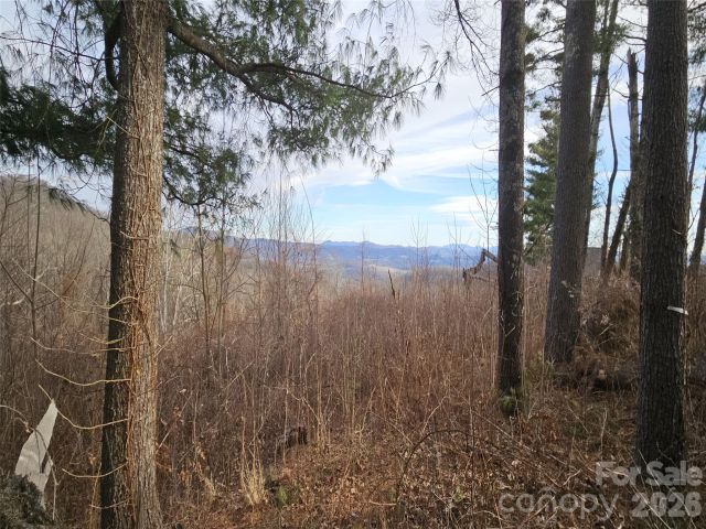 #178 Dancing Bear Drive