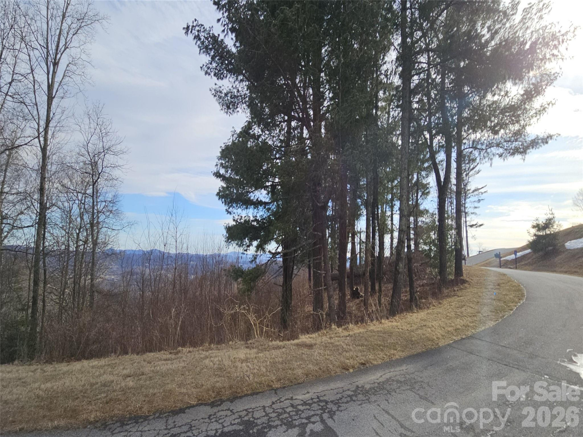 #178 Dancing Bear Drive - Photo 2