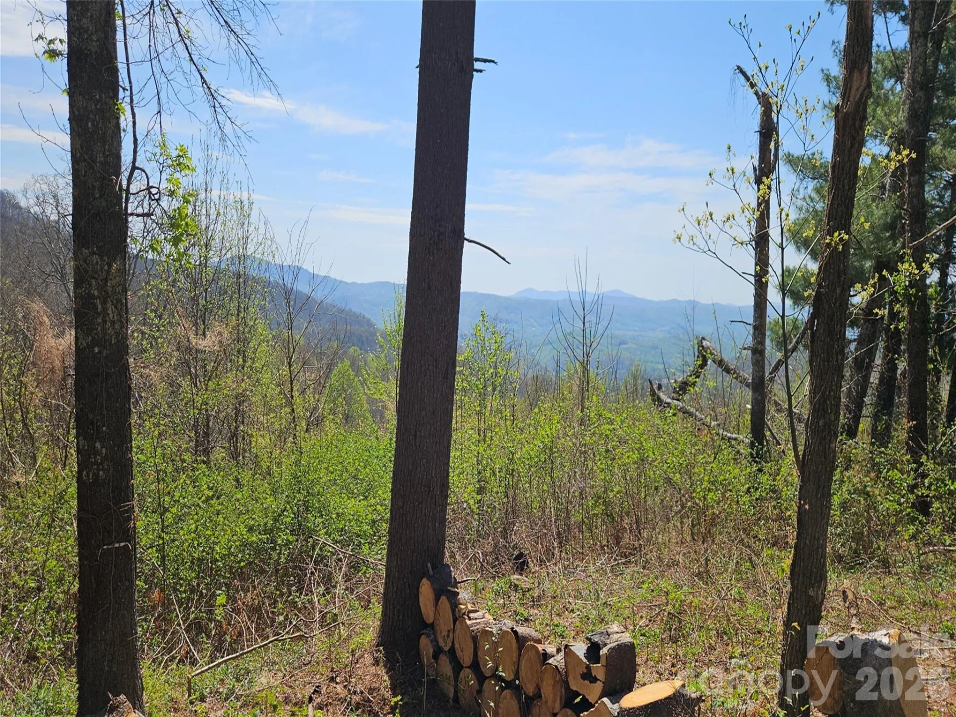 #178 Dancing Bear Drive - Photo 3