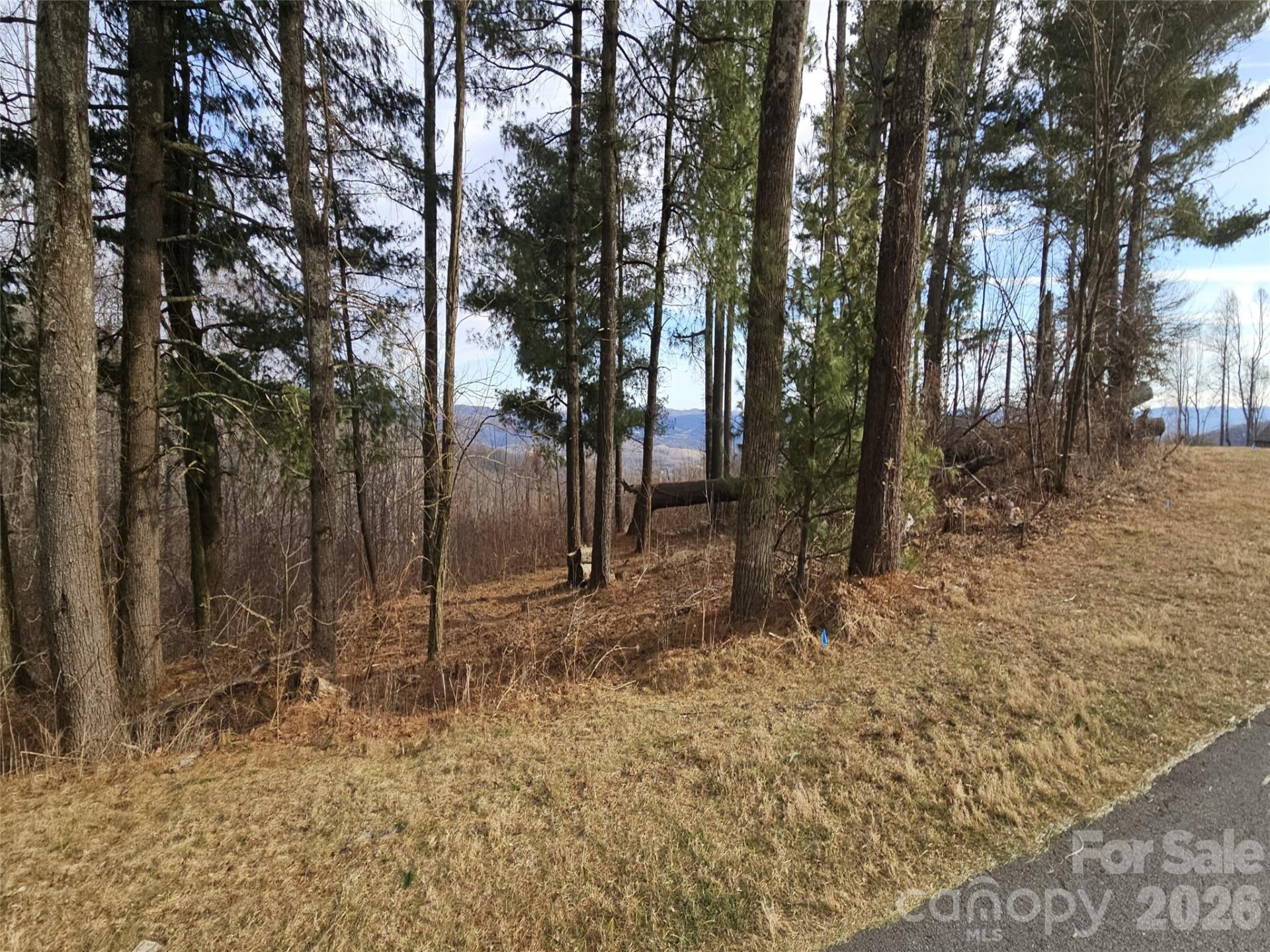 #178 Dancing Bear Drive - Photo 3