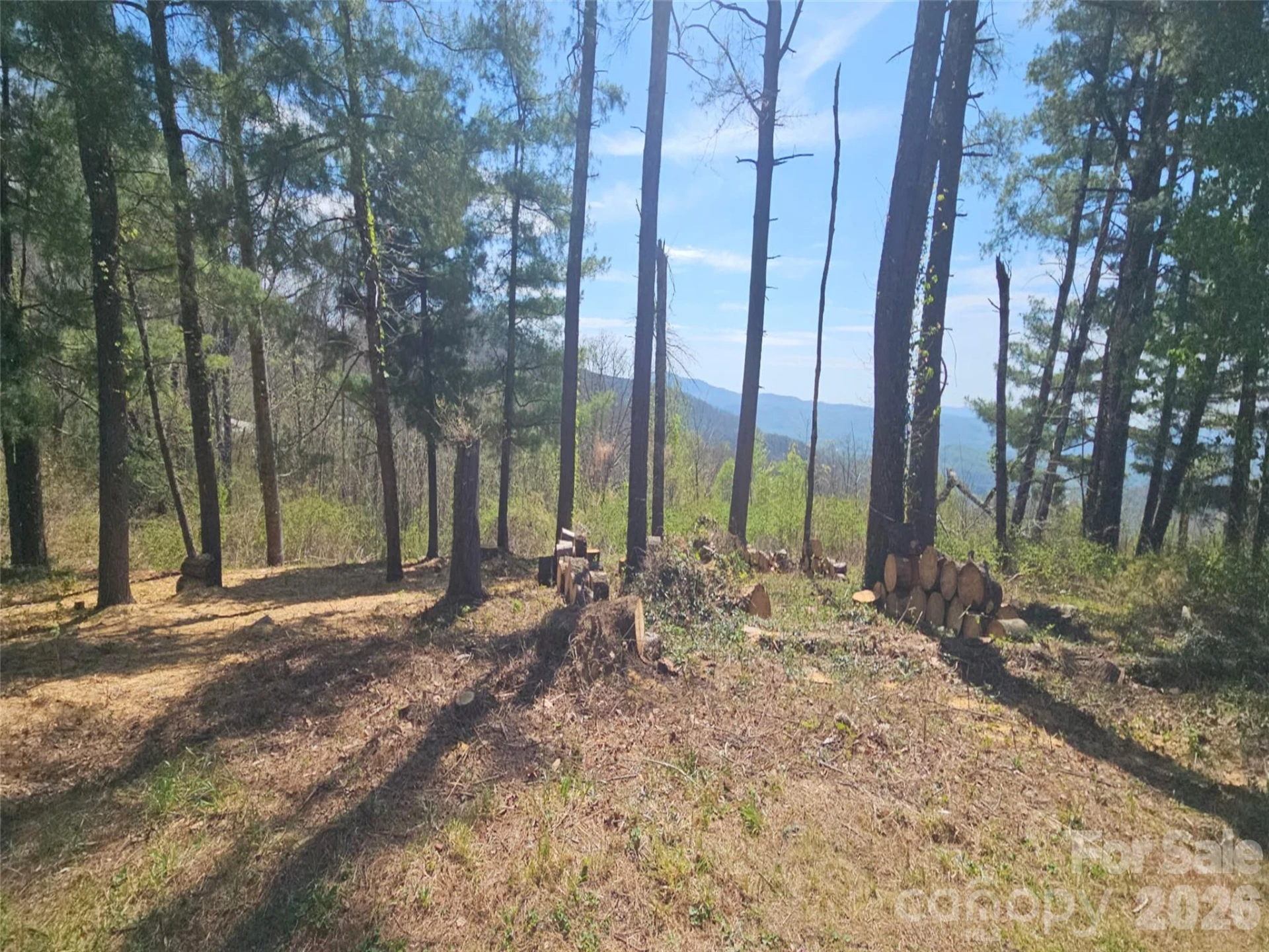 #178 Dancing Bear Drive - Photo 5