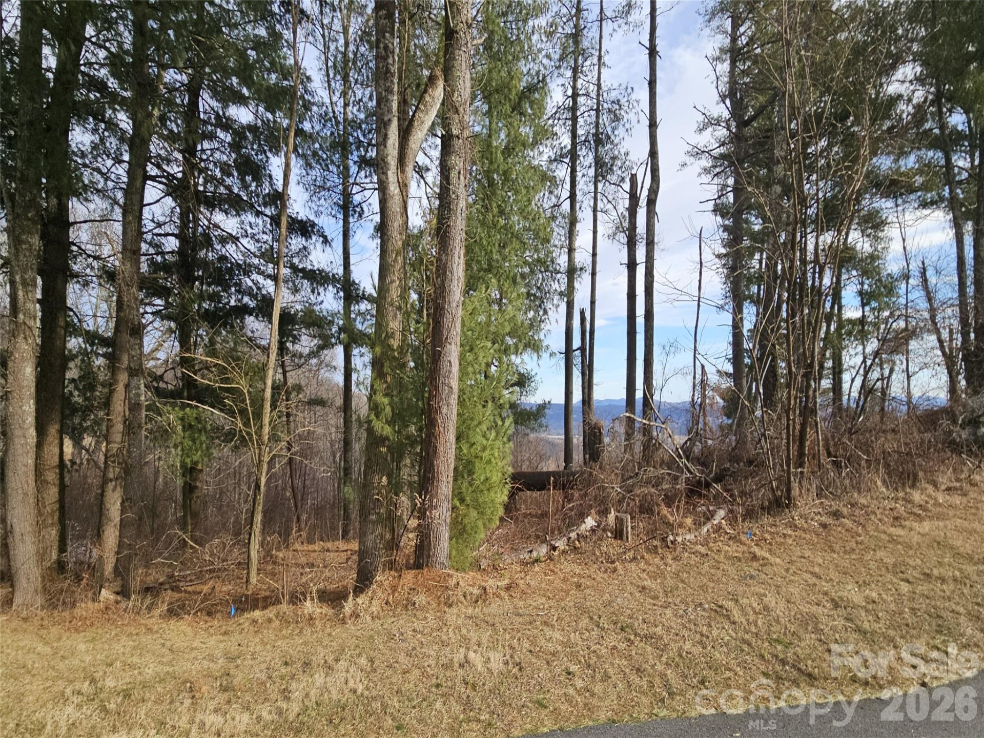 #178 Dancing Bear Drive - Photo 4