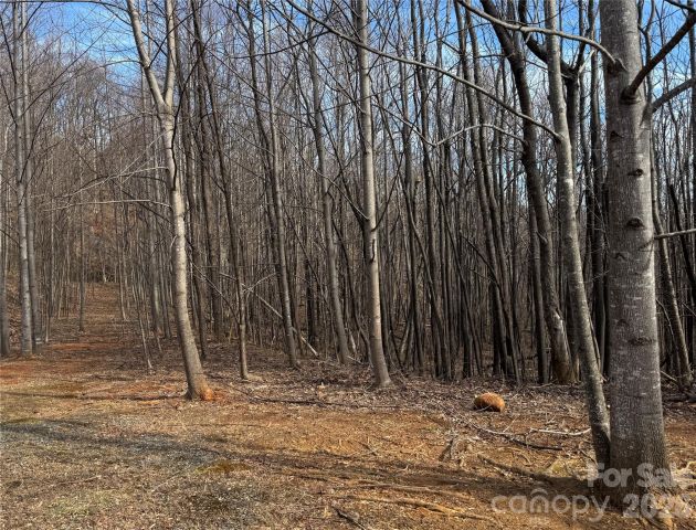 99999 Chesterfield Drive, Mill Spring, NC, 28756