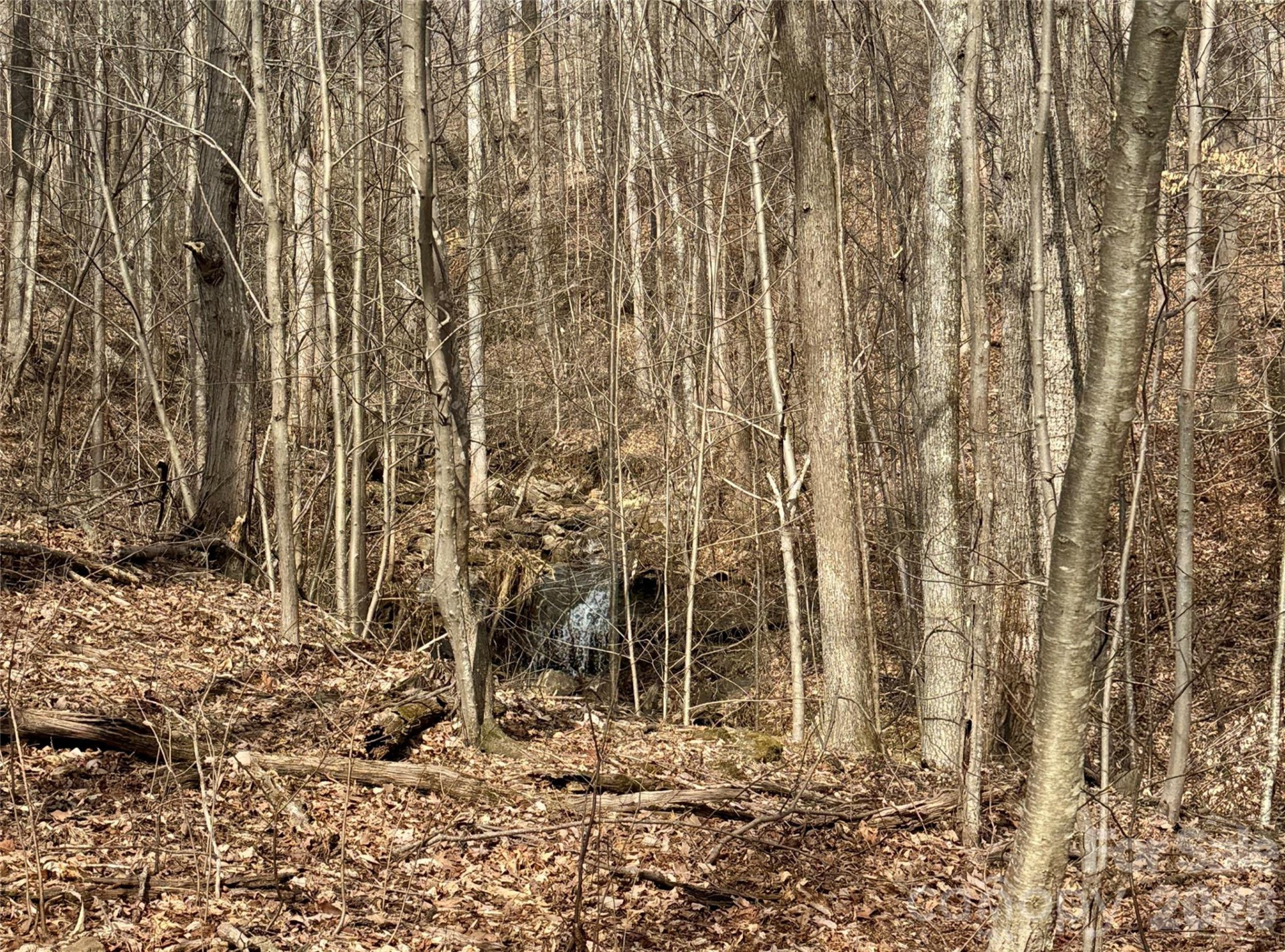 99999 Chesterfield Drive #179 - Photo 2