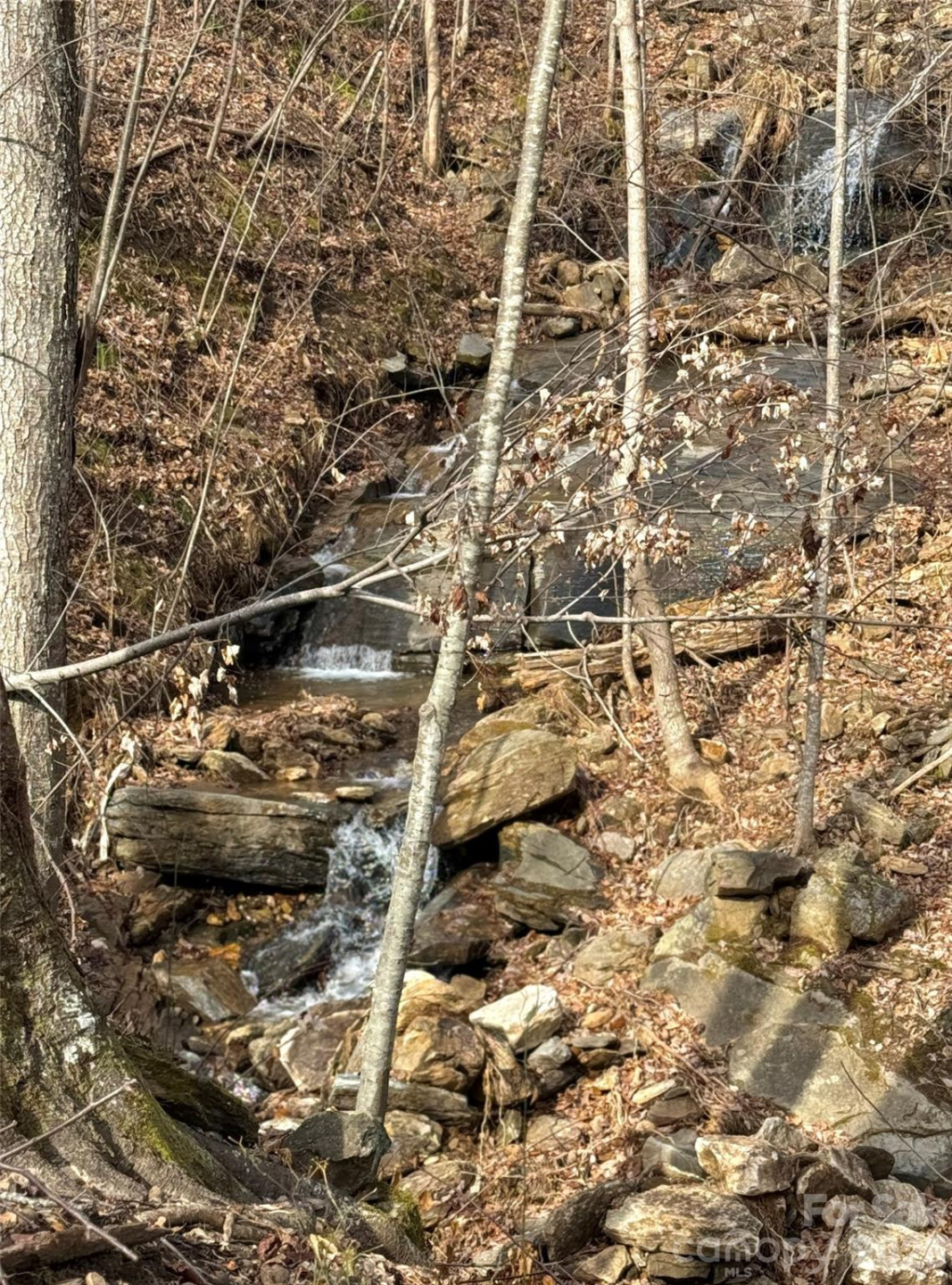 99999 Chesterfield Drive #179 - Photo 3