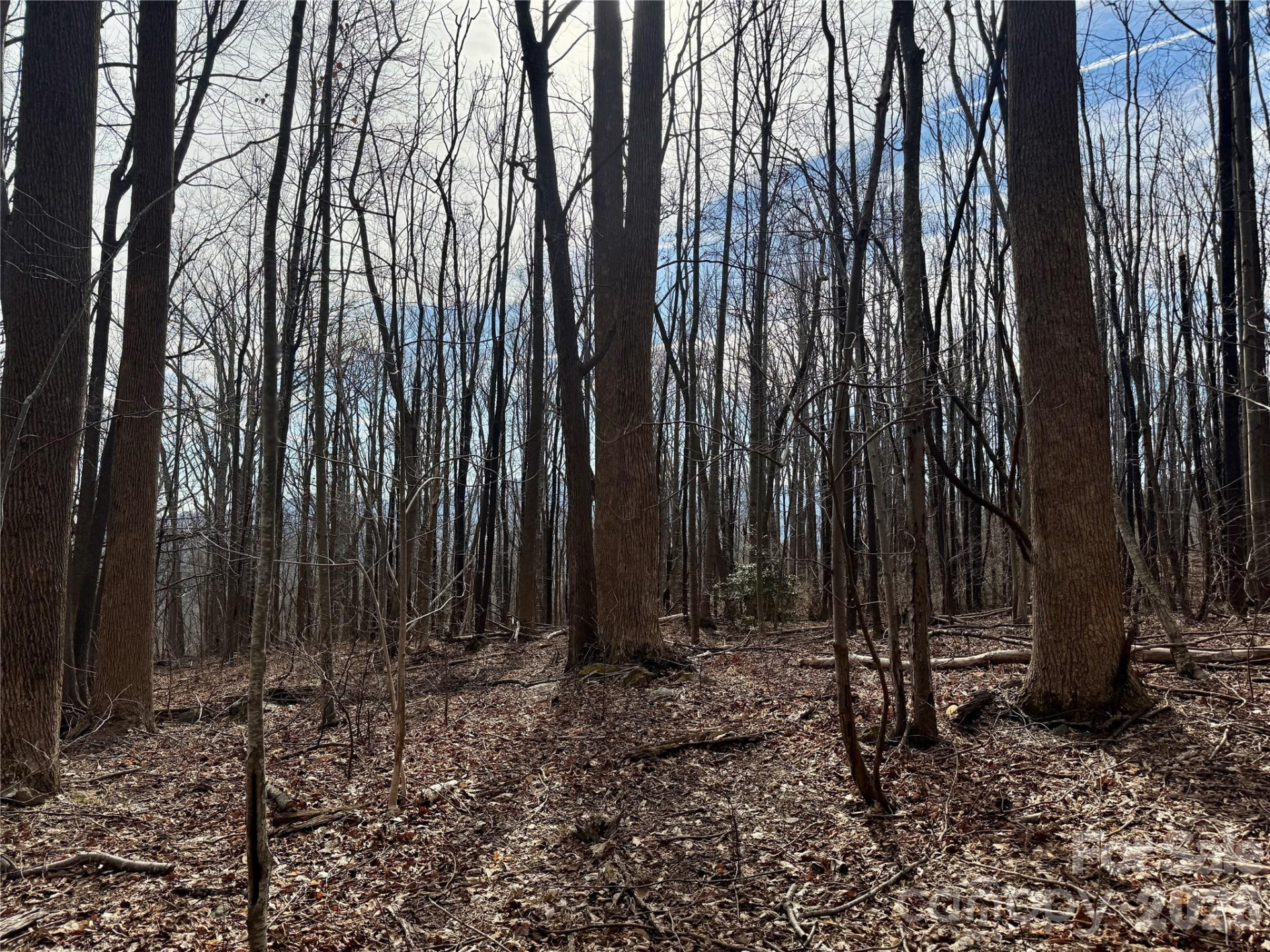 99999 Chesterfield Drive #179 - Photo 4