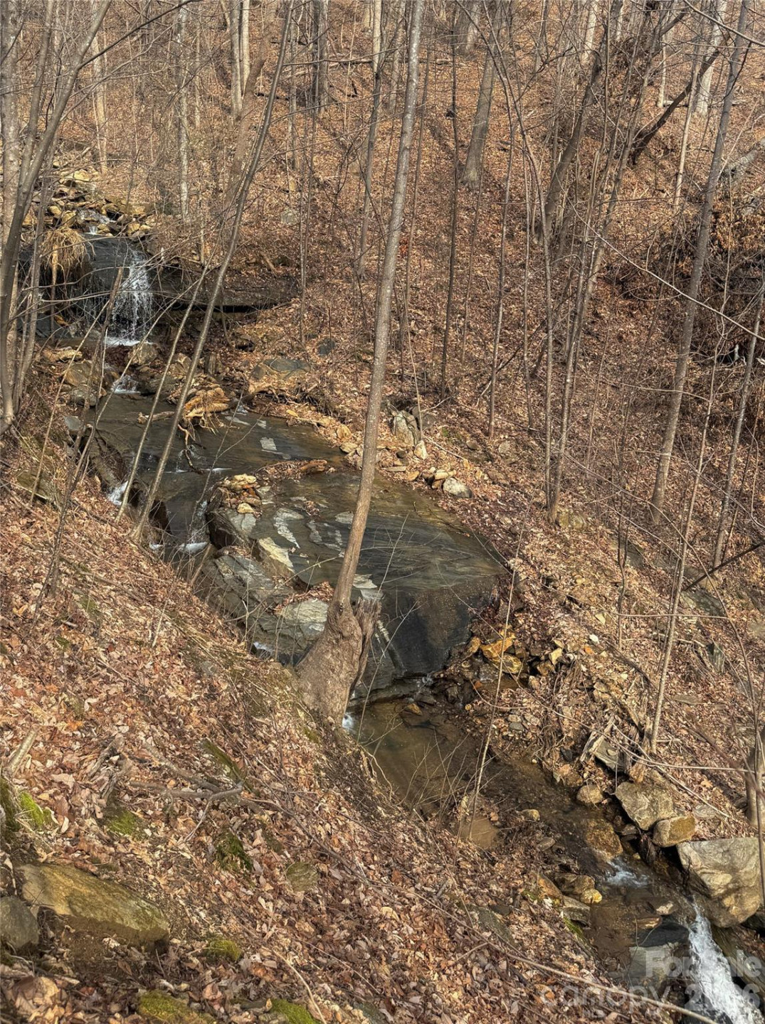 99999 Chesterfield Drive #179 - Photo 5