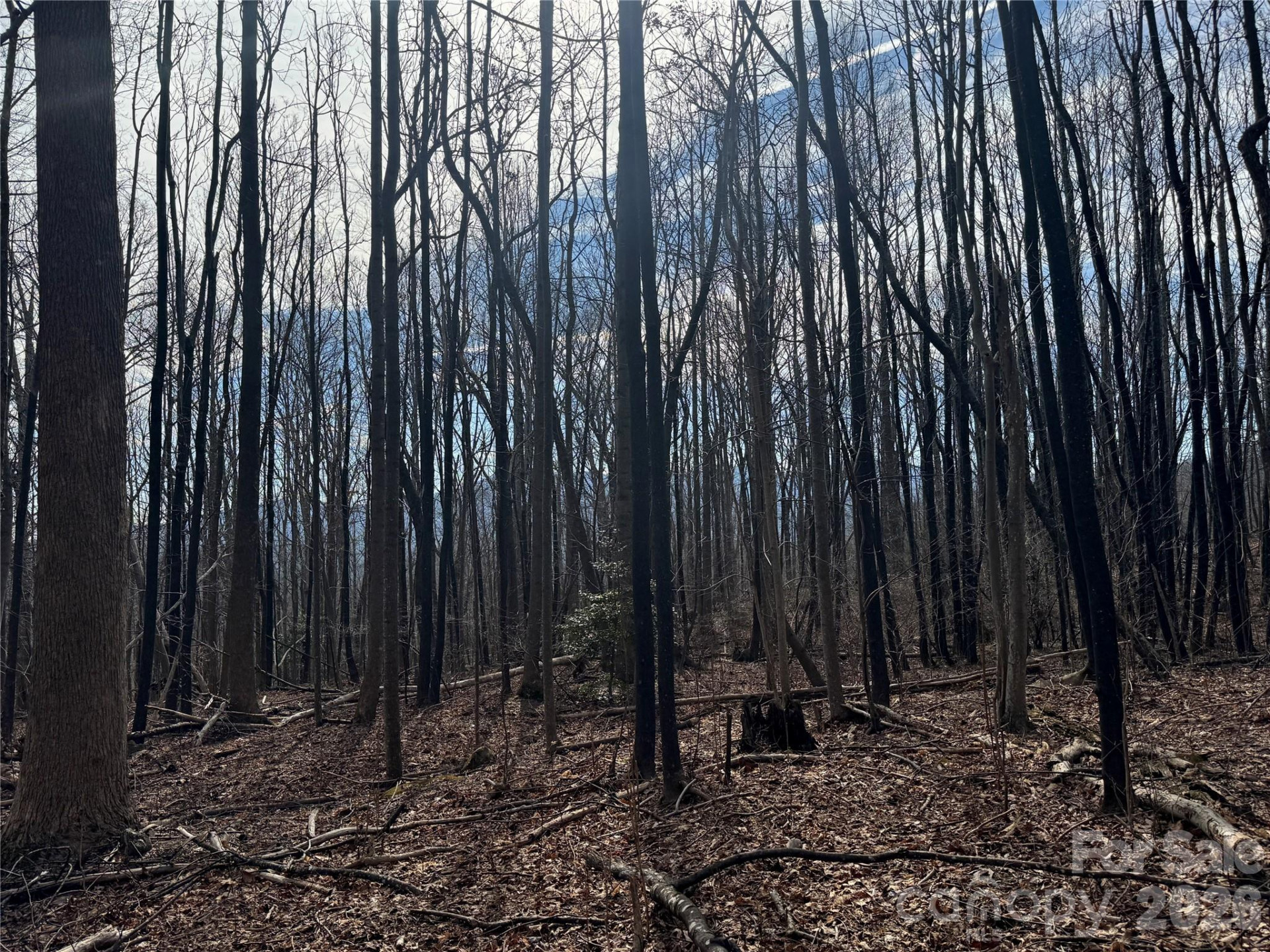 99999 Chesterfield Drive #179 - Photo 6