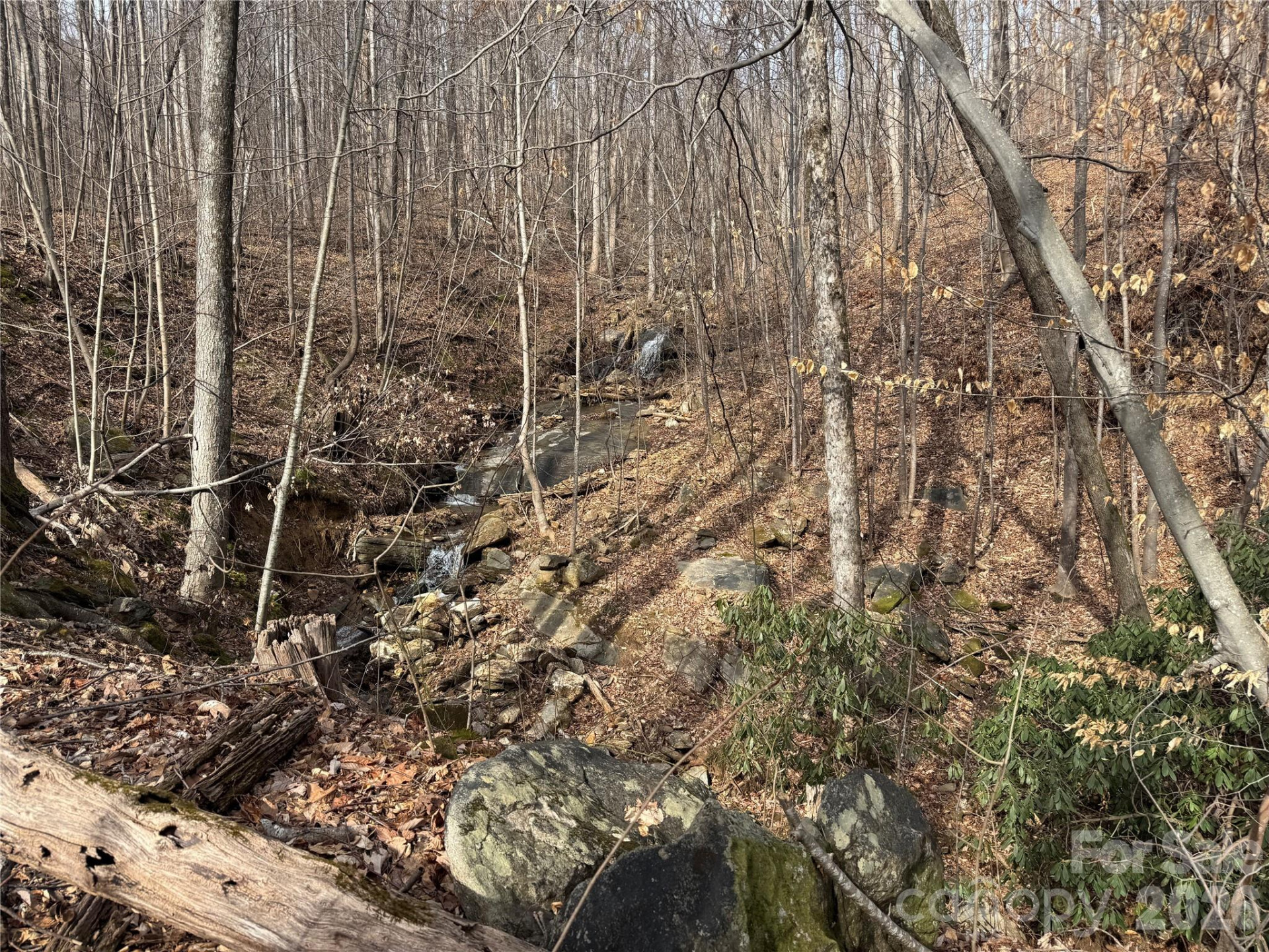 99999 Chesterfield Drive #179 - Photo 7