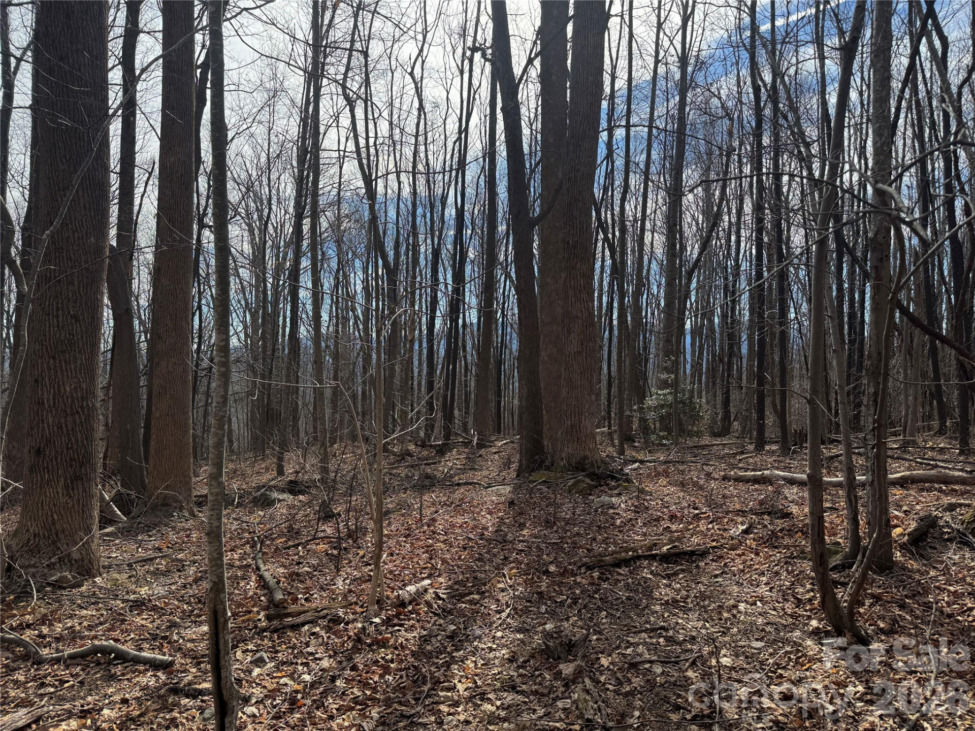 99999 Chesterfield Drive #179 - Photo 8