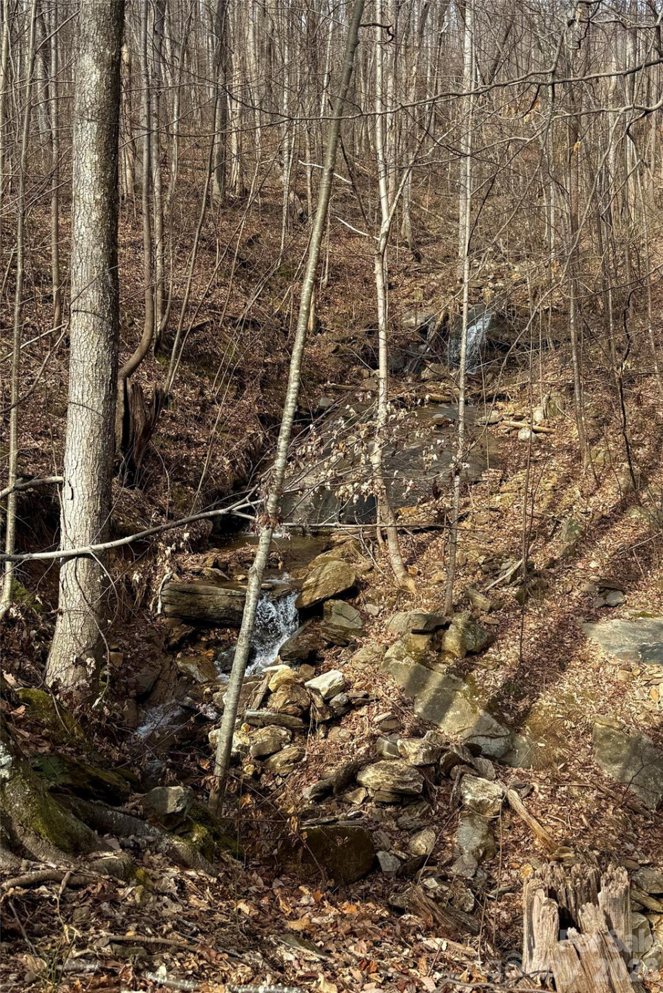 99999 Chesterfield Drive #179 - Photo 9