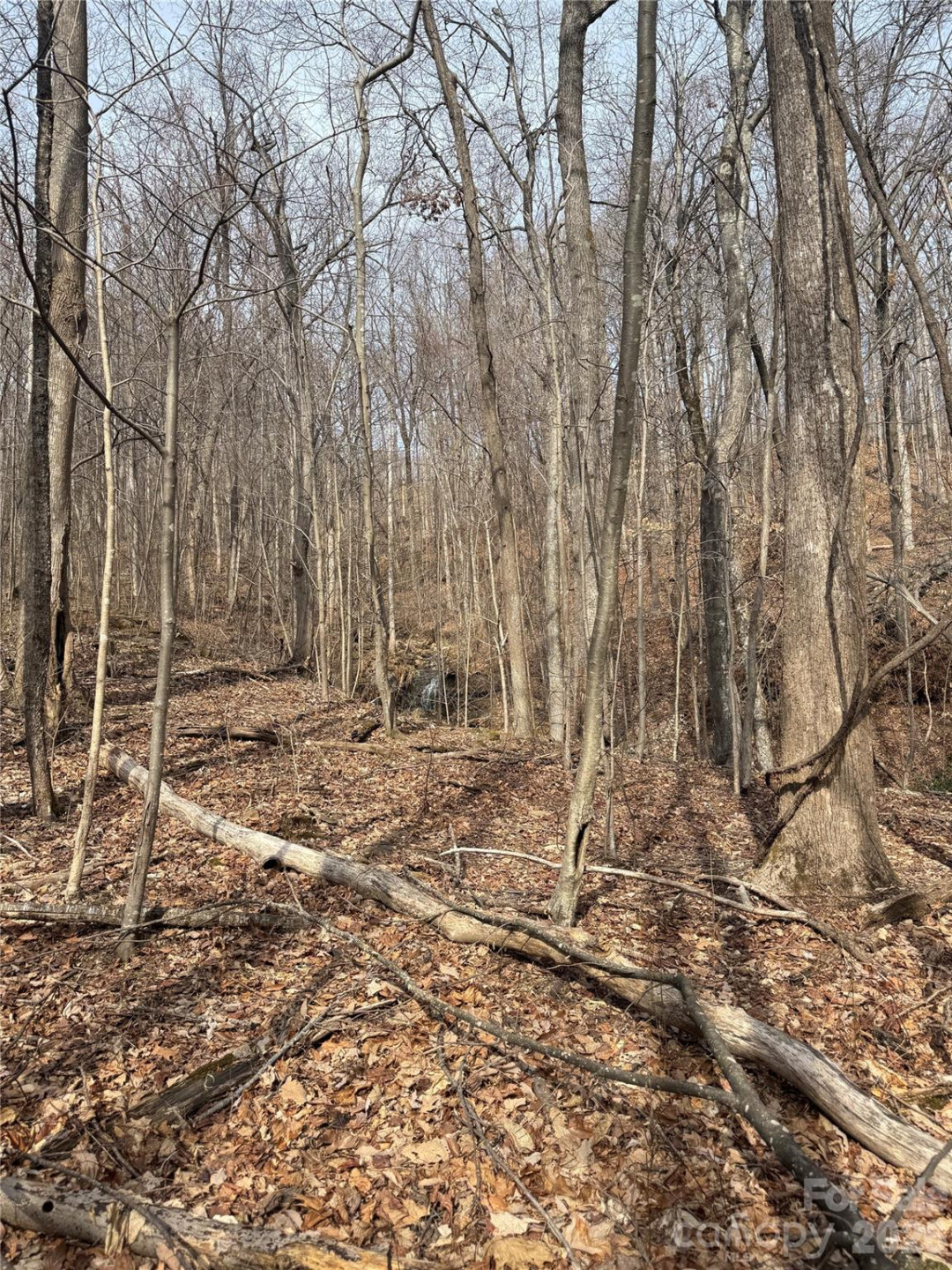 99999 Chesterfield Drive #179 - Photo 10