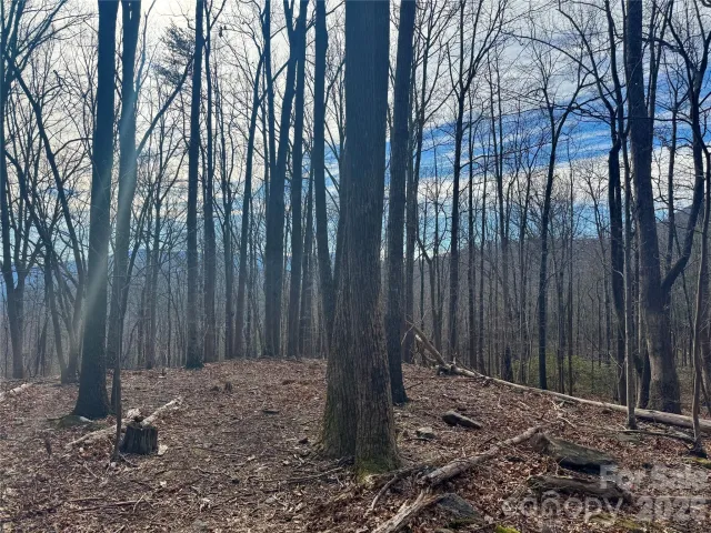 99999 Chesterfield Drive, Mill Spring, NC, 28756