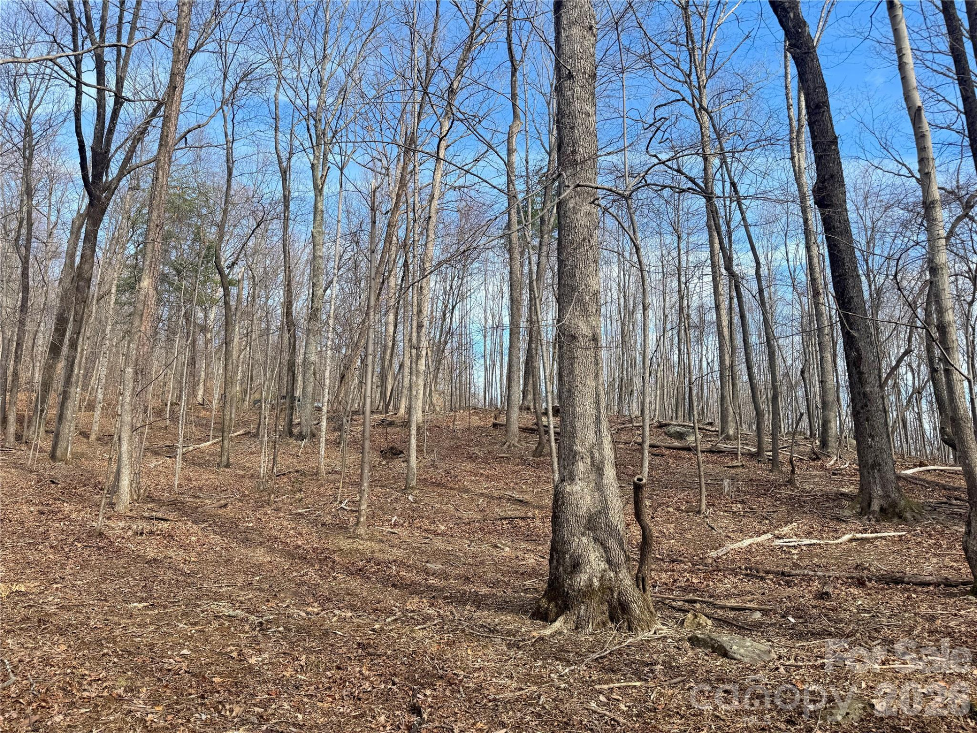 99999 Chesterfield Drive #176 - Photo 2