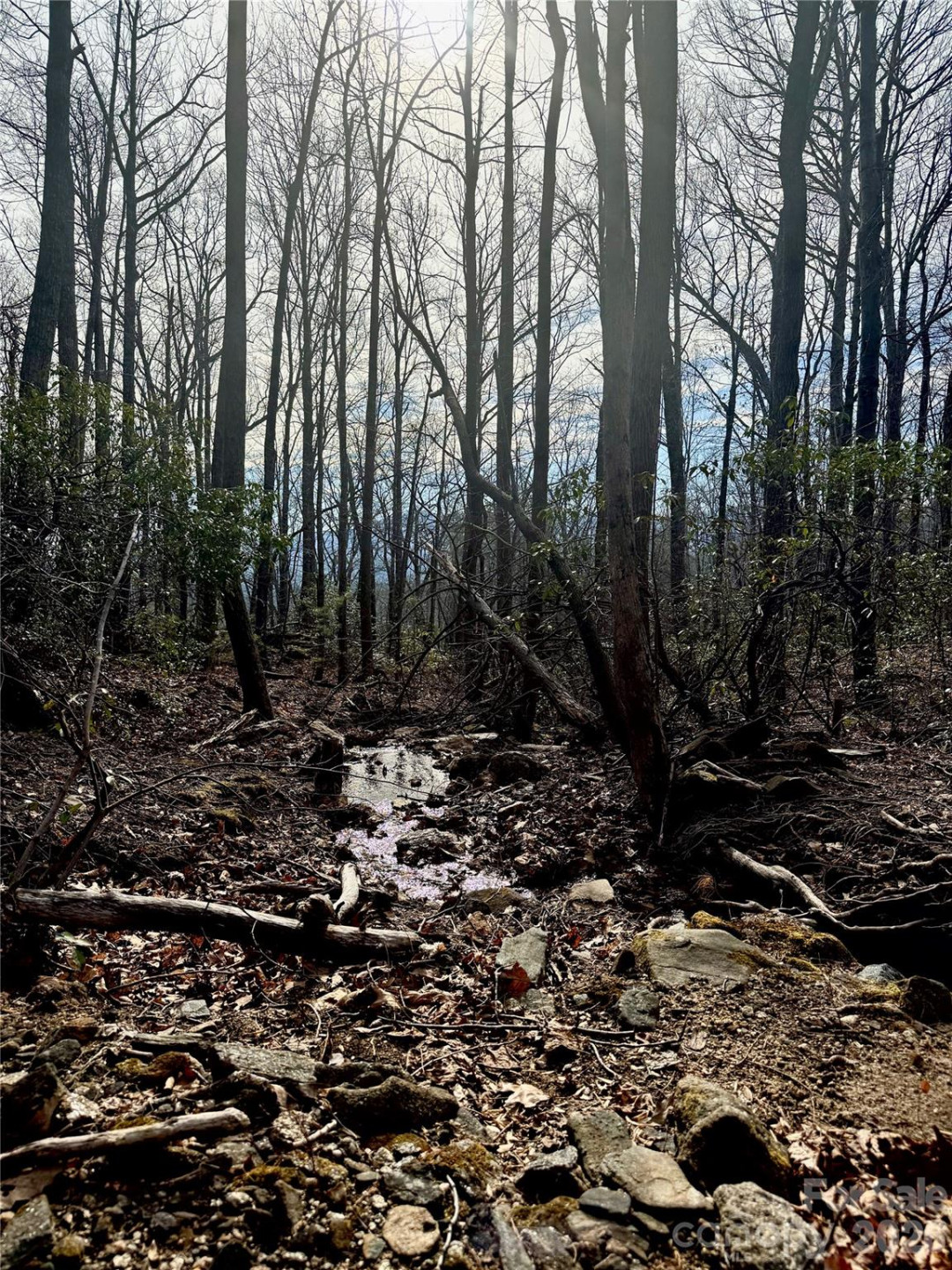 99999 Chesterfield Drive #176 - Photo 11