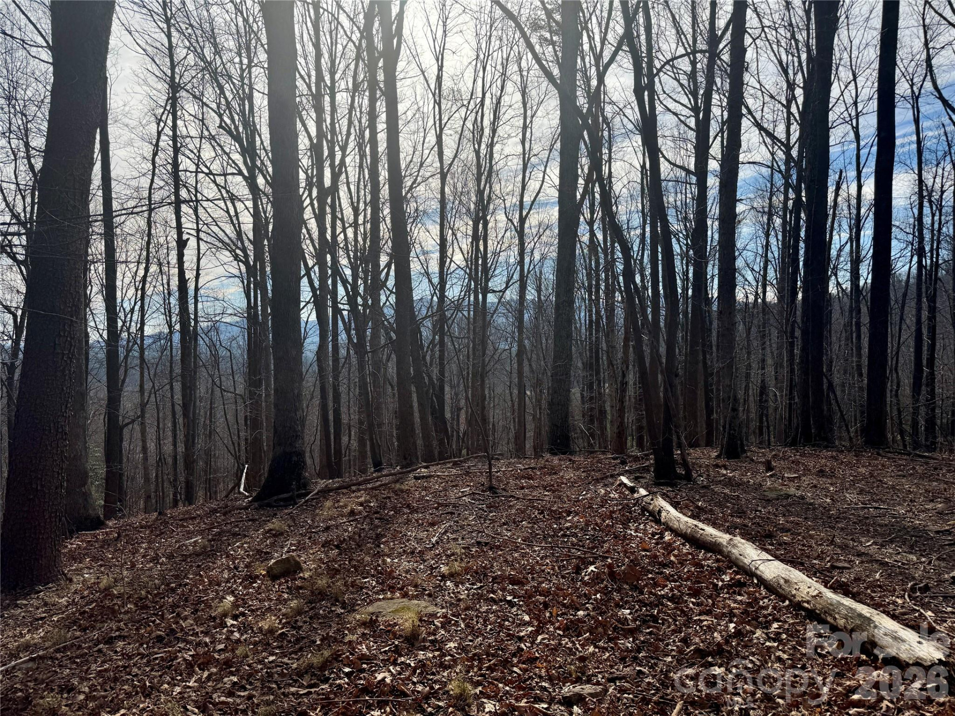 99999 Chesterfield Drive #176 - Photo 12