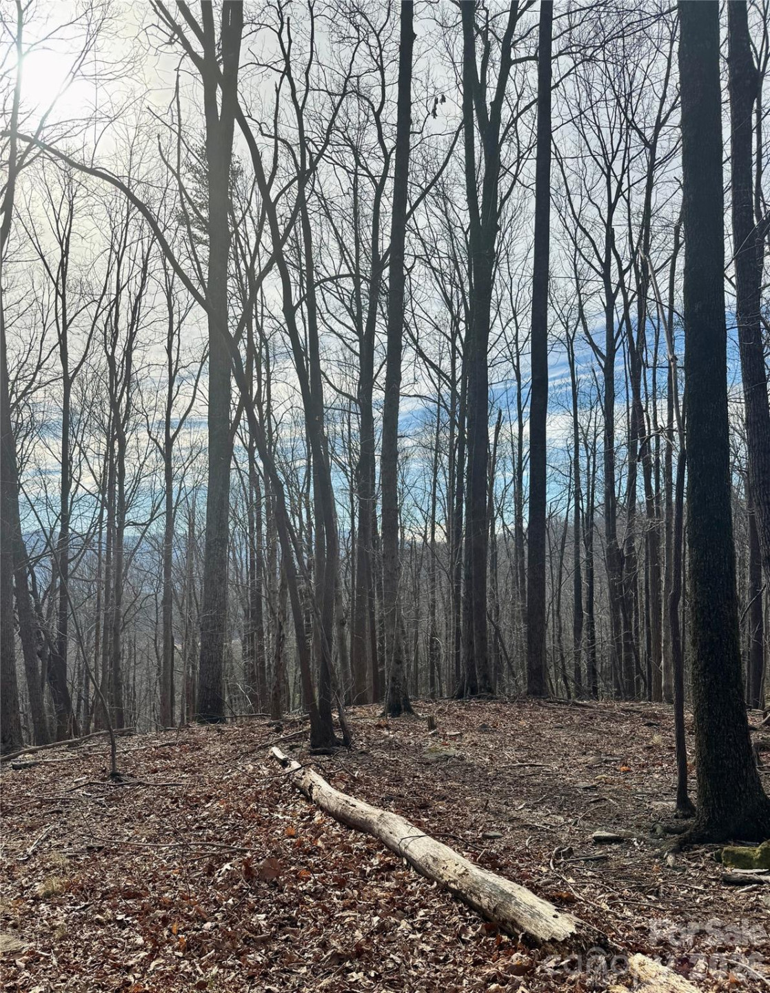 99999 Chesterfield Drive #176 - Photo 14